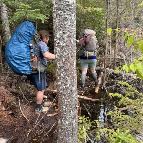 Trying to navigate the flooded trail and the beaver bog headed to Cedar Lakes in the West Canada Wilderness.