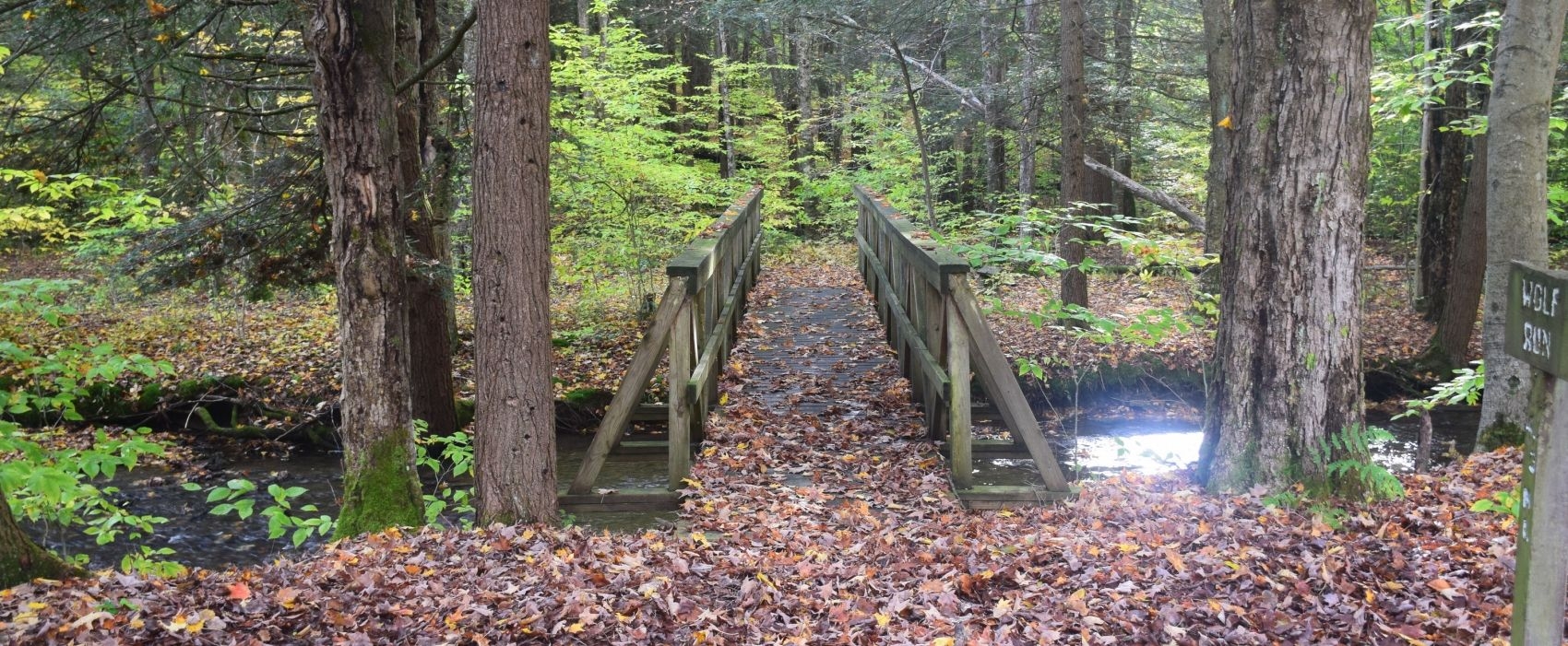 finger lakes - The Trek