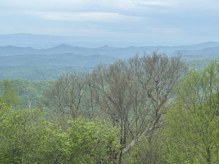Long Rang View Loving Virginia - The Trek