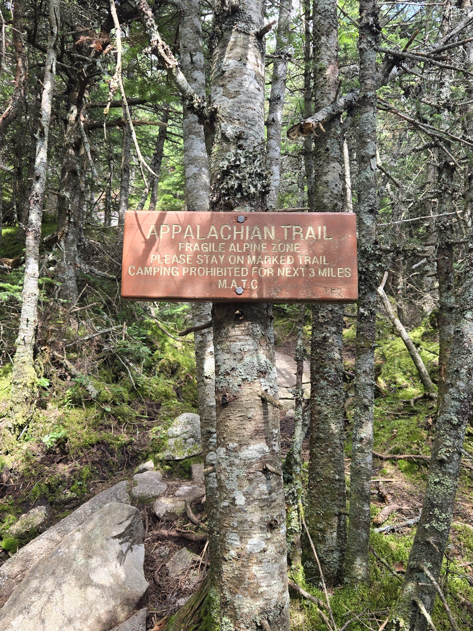 Weeks 7 and 8 Update - AT Flip-Flop - The Trek