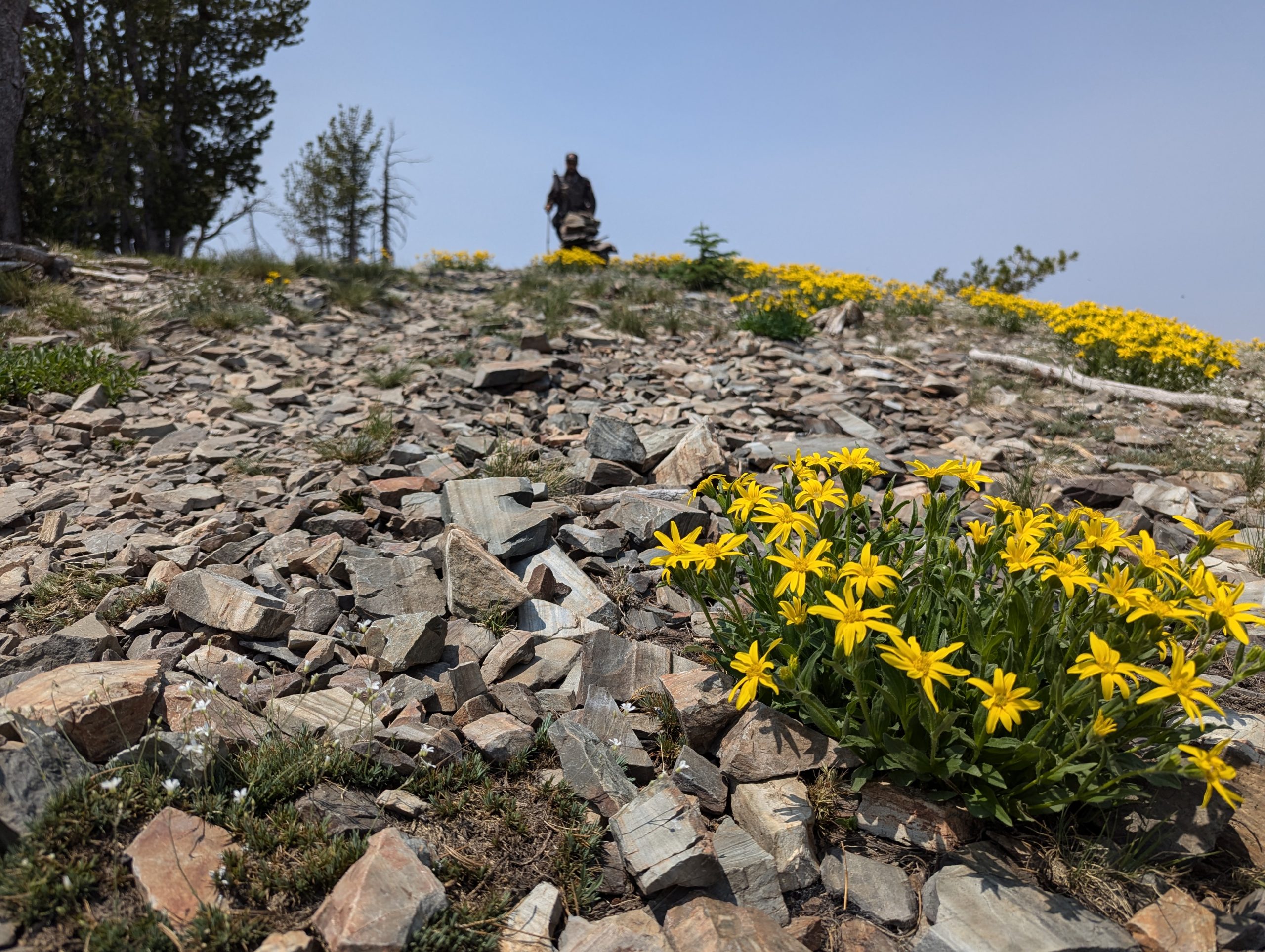 CDT: Beauty & Beasts - Darby to Leadore - The Trek