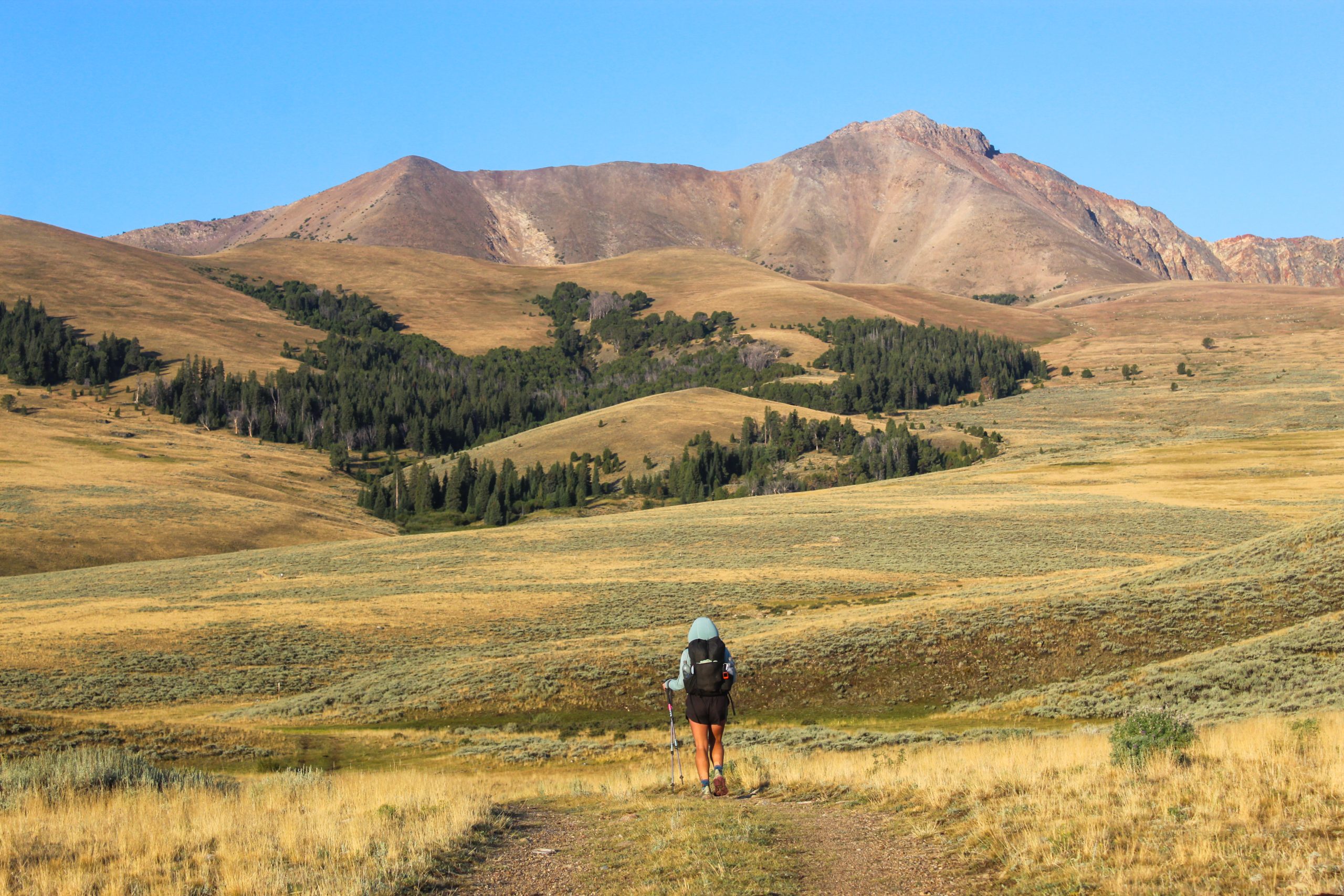 Hiker (Almost) Struck by Lightning: Lima to Leadore - The Trek