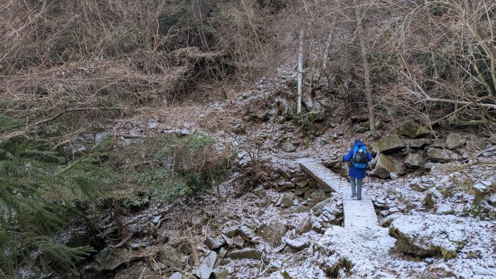 forrest bridge covered by freshly fallen snow