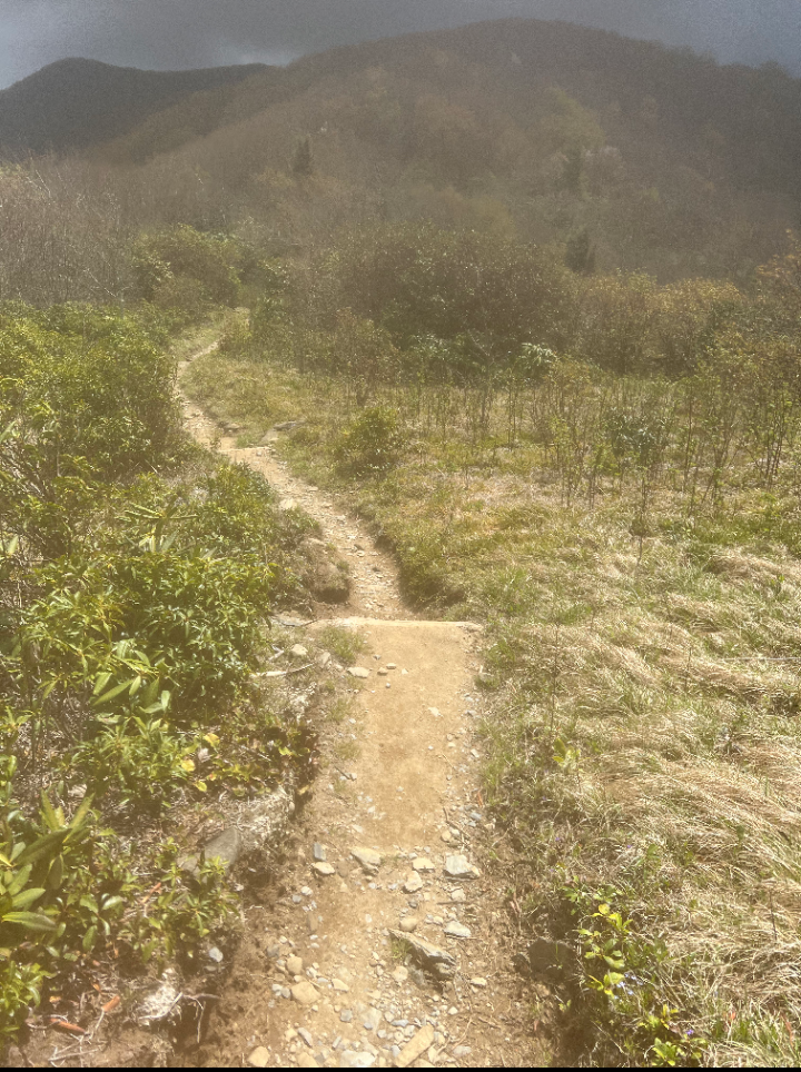 Una bonita vista a lo largo de los fumadores