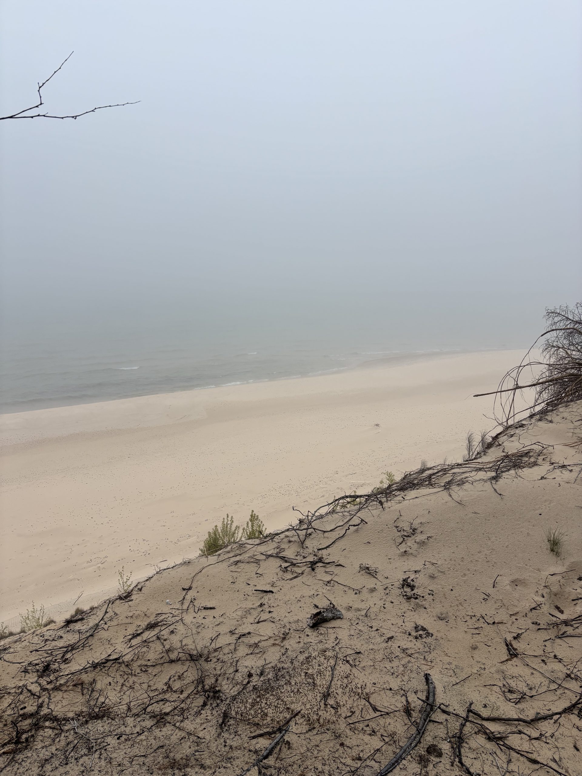A beach with rocky shores and a thick layer of fog.