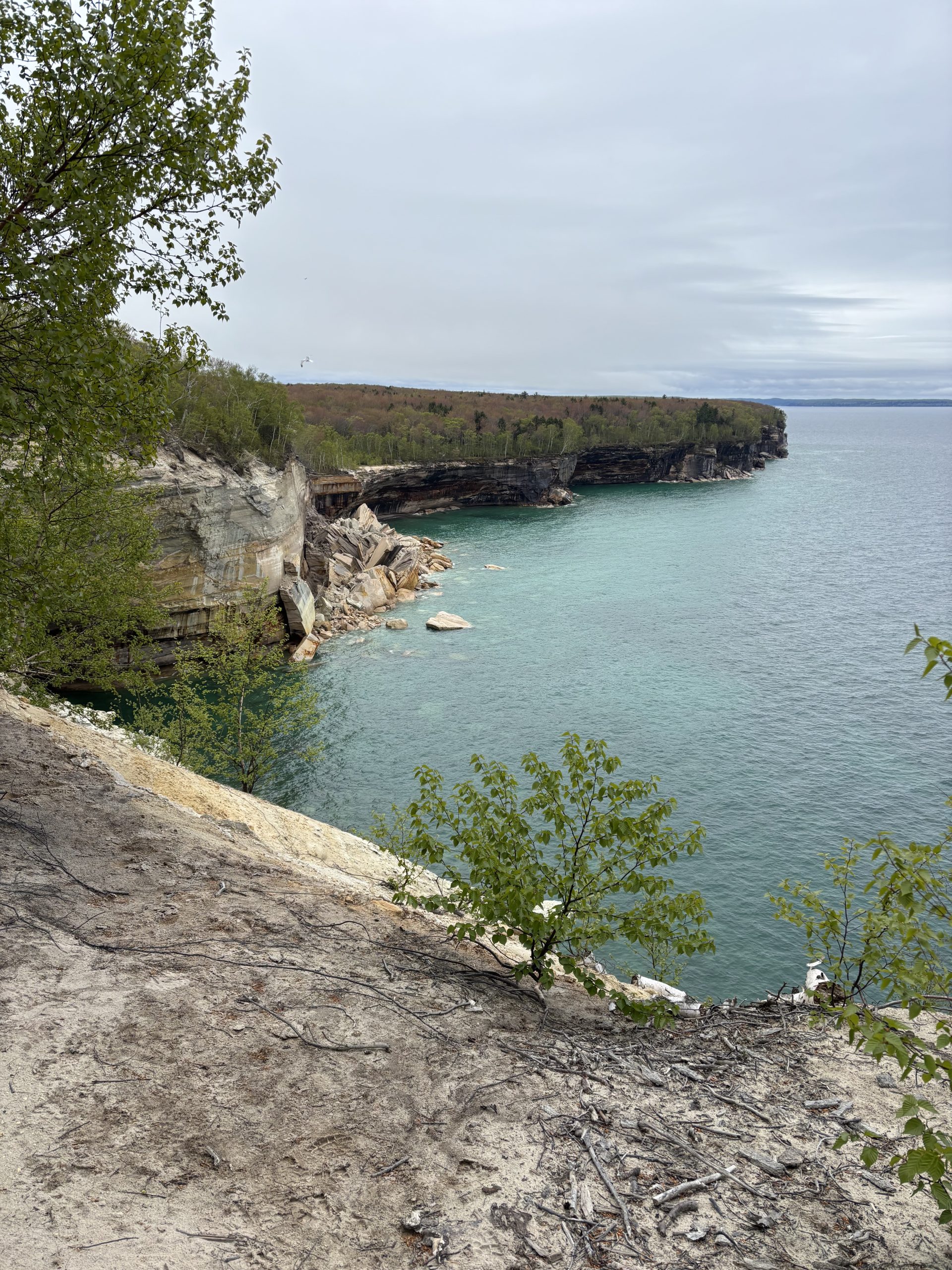 A colorful red and brown cliff with trees on top extends out to a point in the lake.