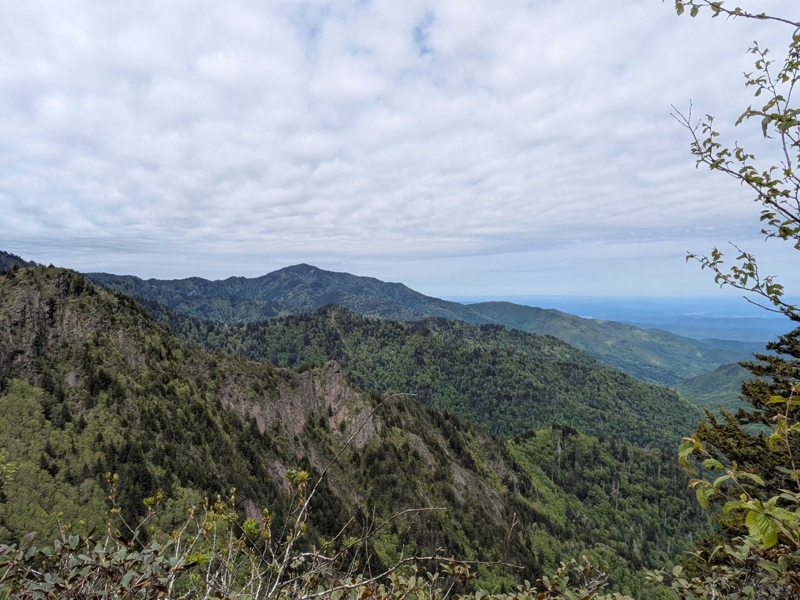 Vistas de montaña.