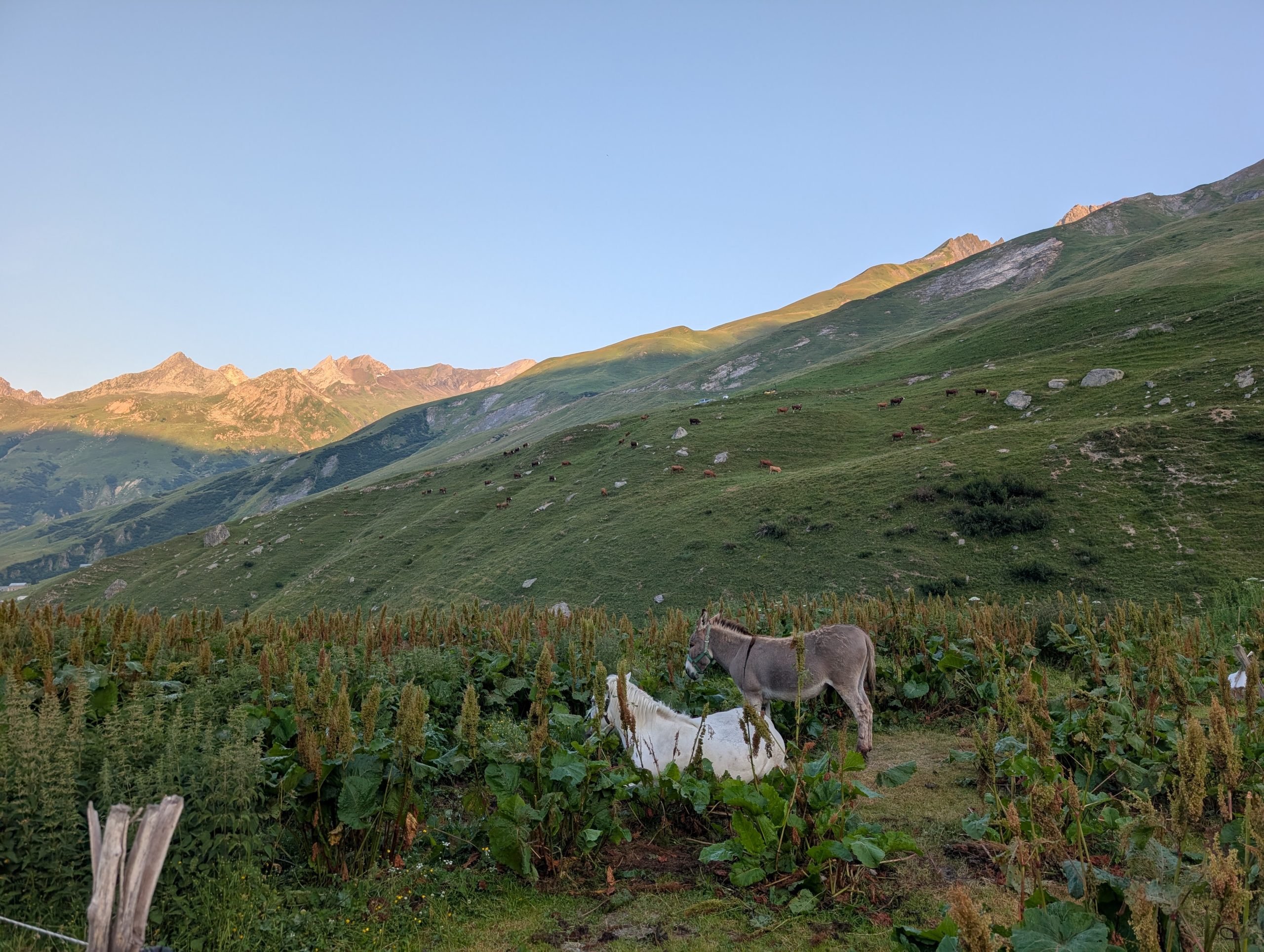Tour Du Mont Blanc - Day 3 - The Trek