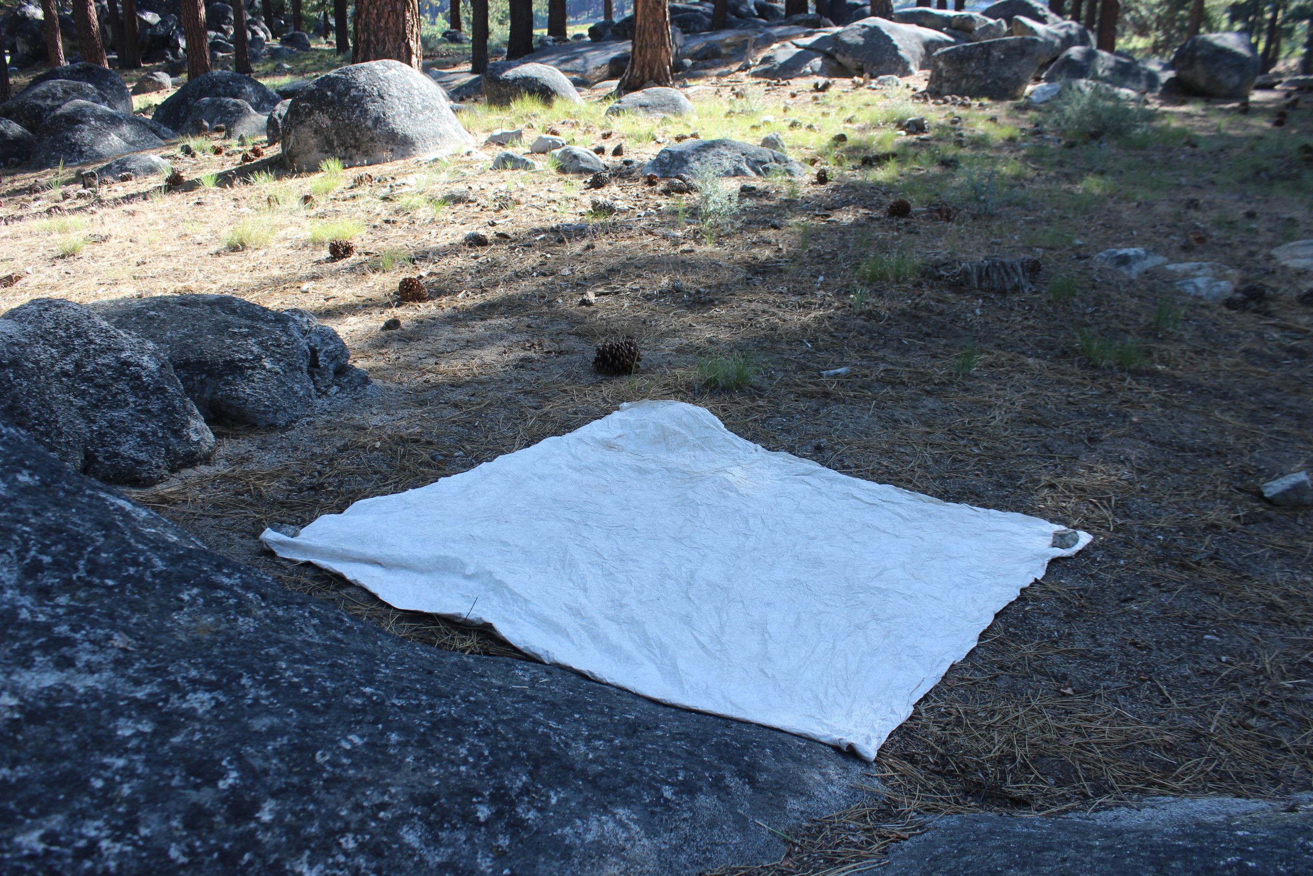 Valle de Longhk White del campamento