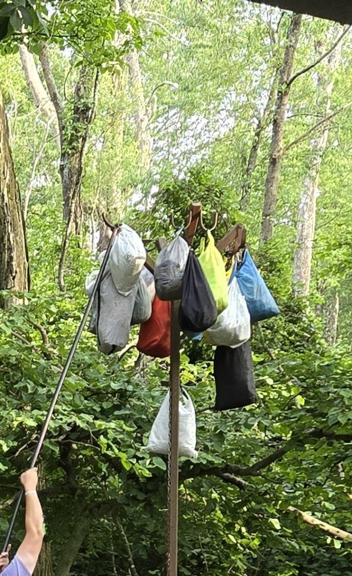 Bear the post full of food bags. 
