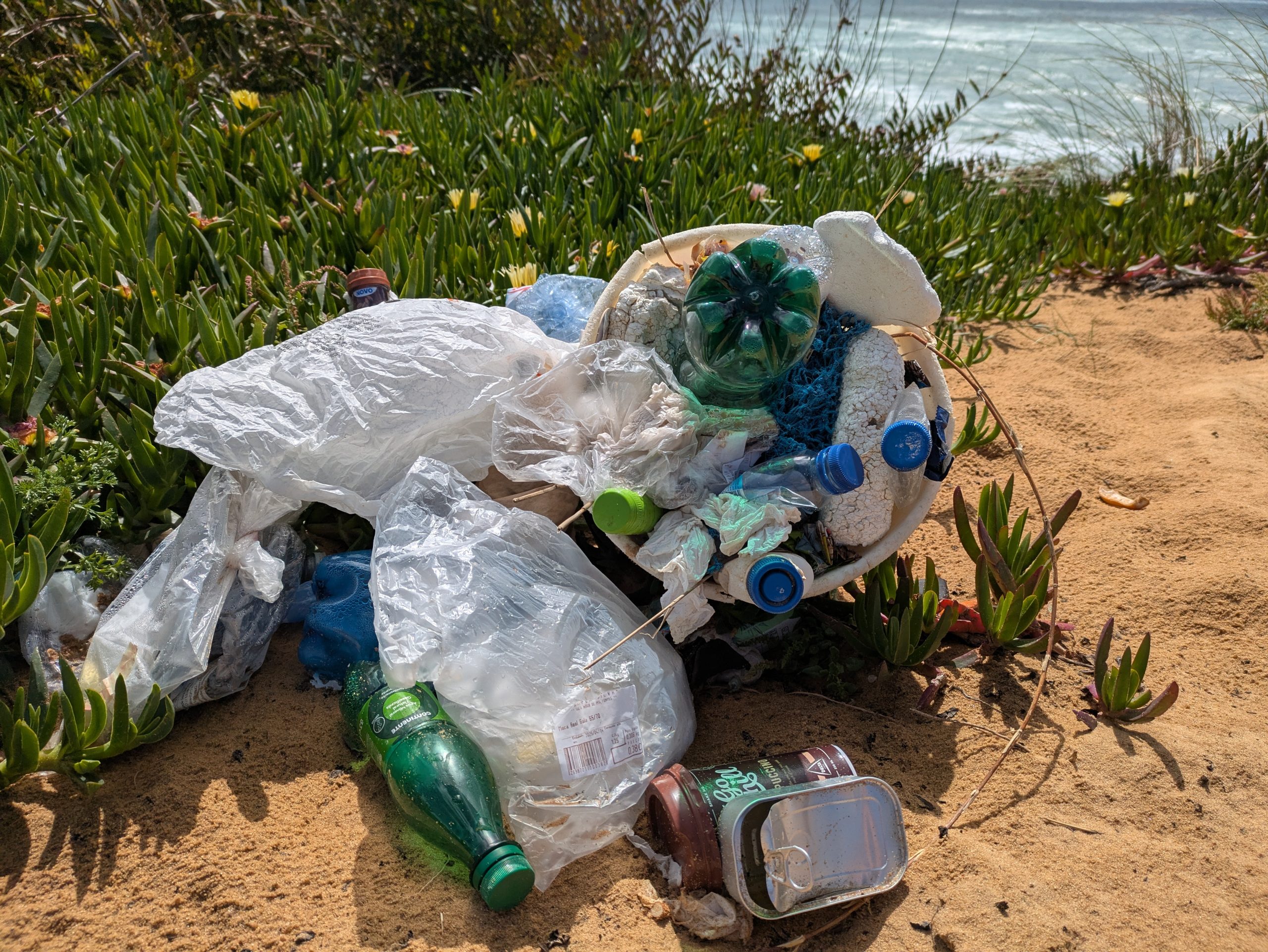 La basura de la uter y la basura está cerca del camino en un puerto de pescador