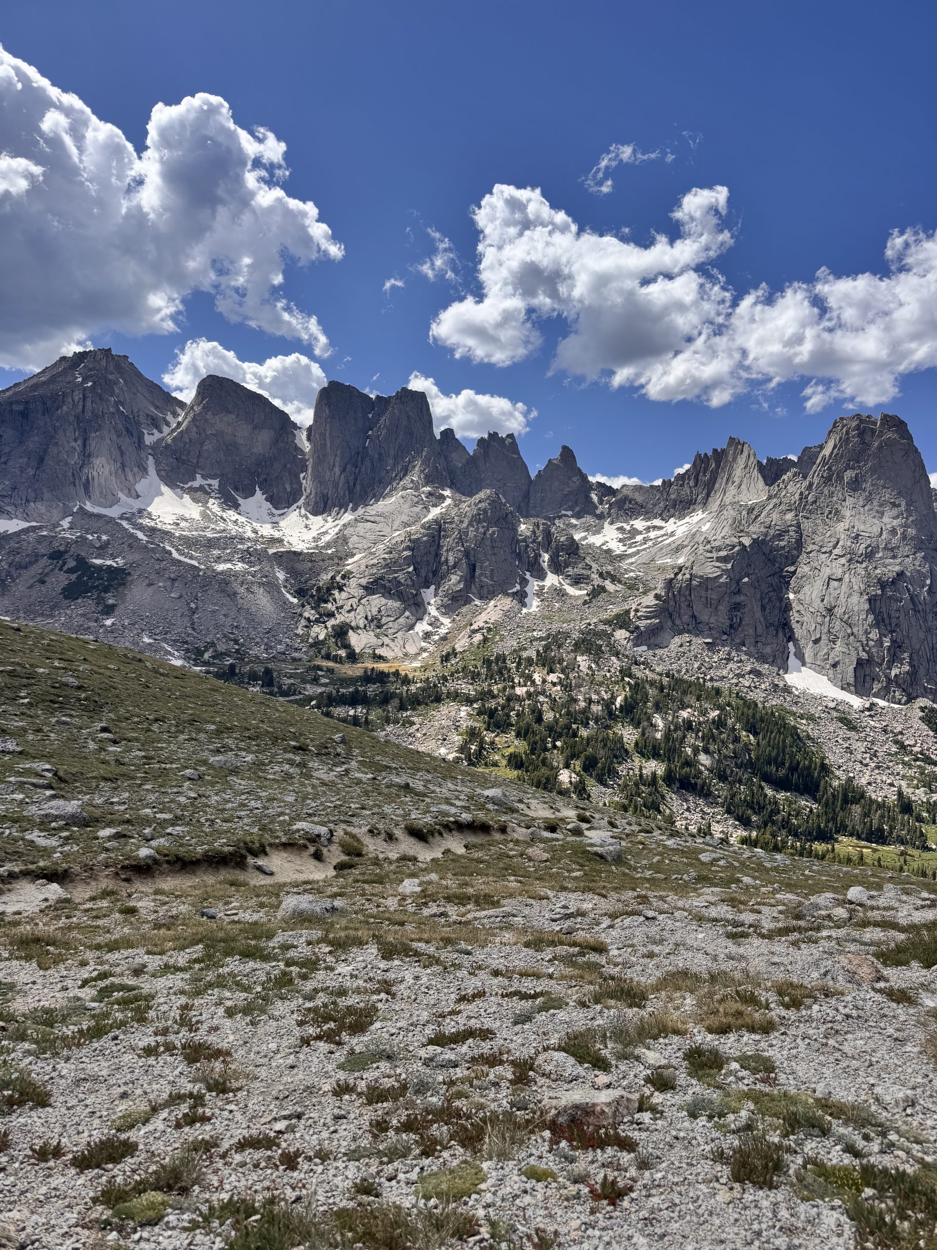 Only Wyoming things – The Trek