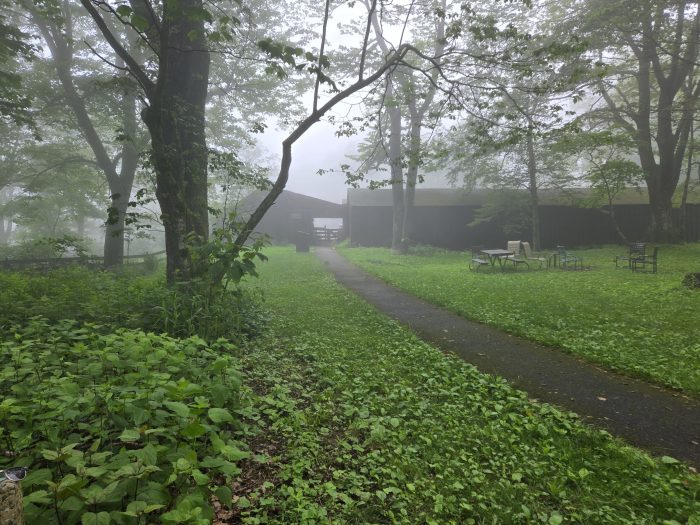 Edificios de caballos estables a distancia de niebla.