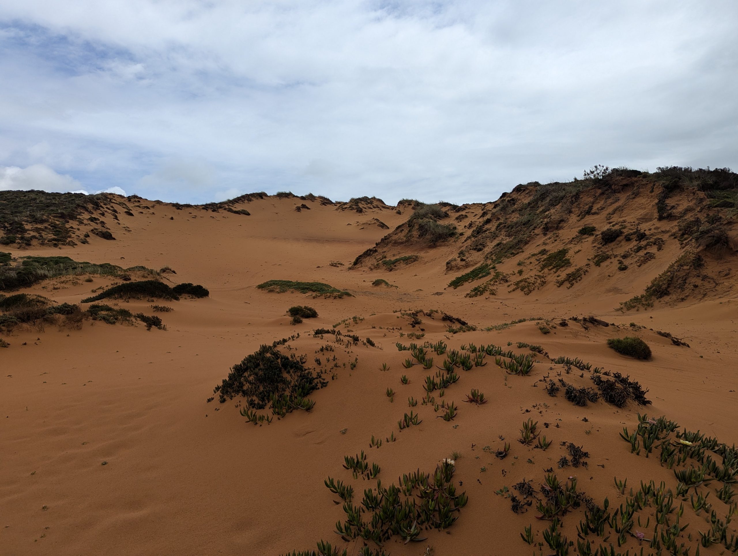 La porción del camino y la arena roja oscura y sin plantas, muestran un paisaje dramático en el día del puerto