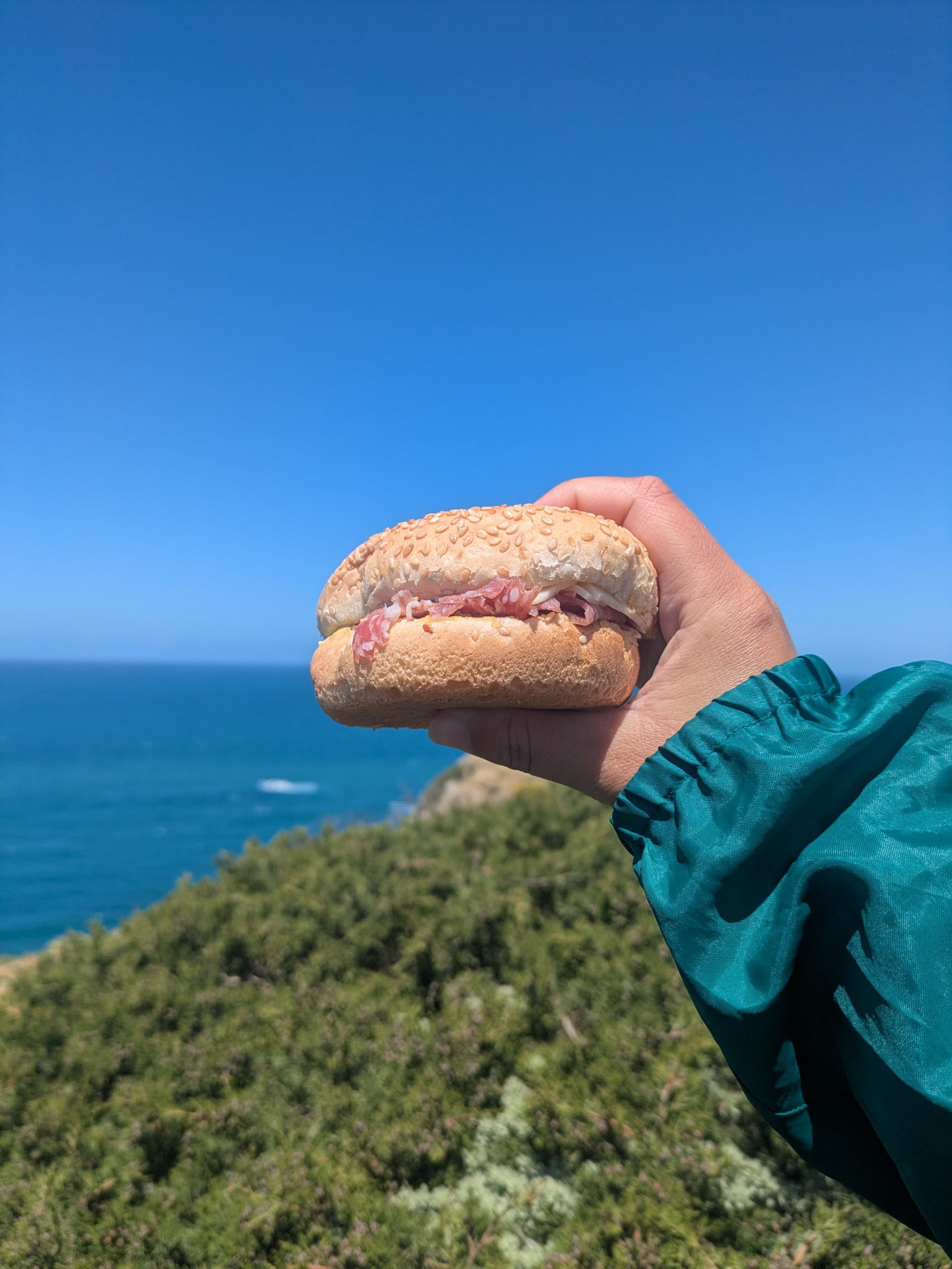 Foreground of a homemade sandwich sustained in the hand, with coastal cliffs and ocean waves at the bottom of the fishermen's path.