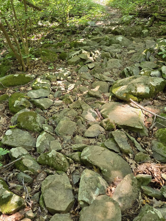 Una carretera plana llena de piedras moderadas y pequeñas 