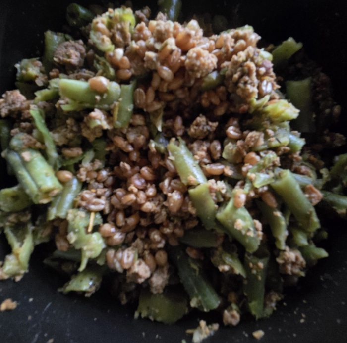 Ferro bowl, ground turkey and green beans.
