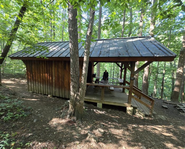 Senderos shelter with covered cover in the forest