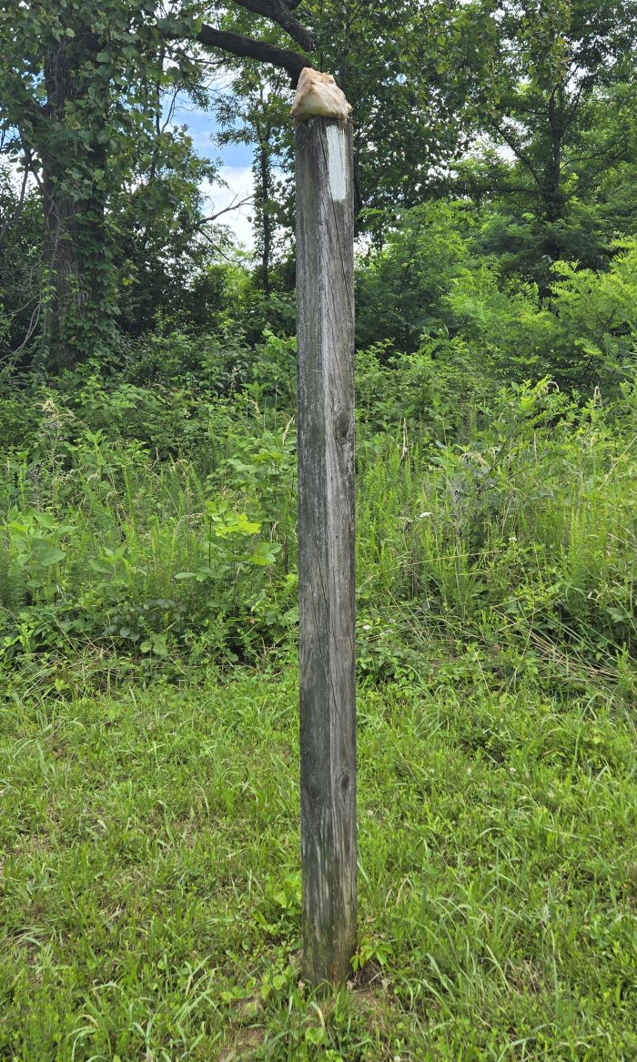 SignPost Woods con incendio con blanco con blanco blanco
