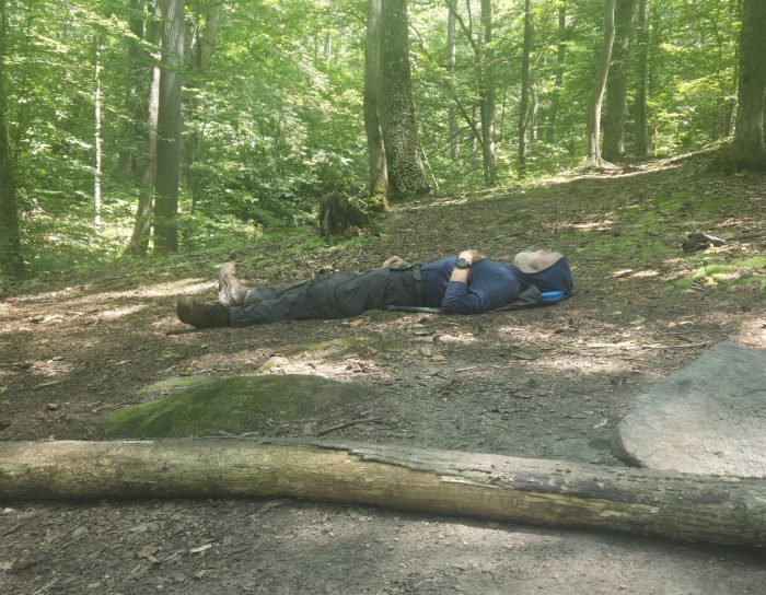 El hombre con pantalones con sudadera con capucha Hooye se encuentra en el suelo en el bosque para tomar una siesta. 