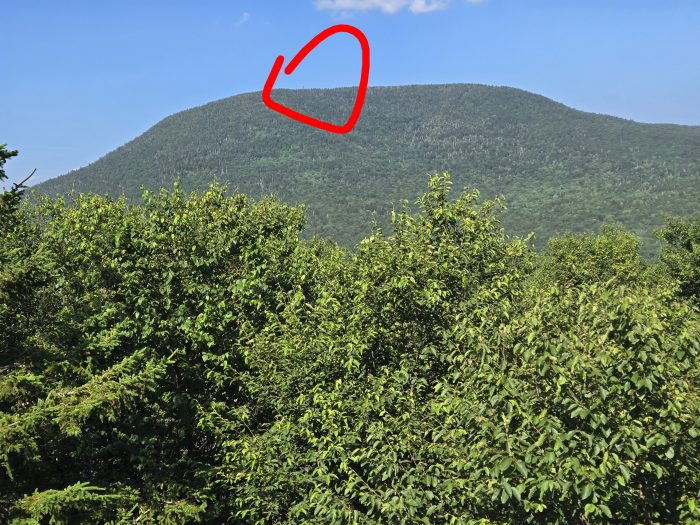 Far crest with a red circle highlighting a fire power at the top if the crest.
