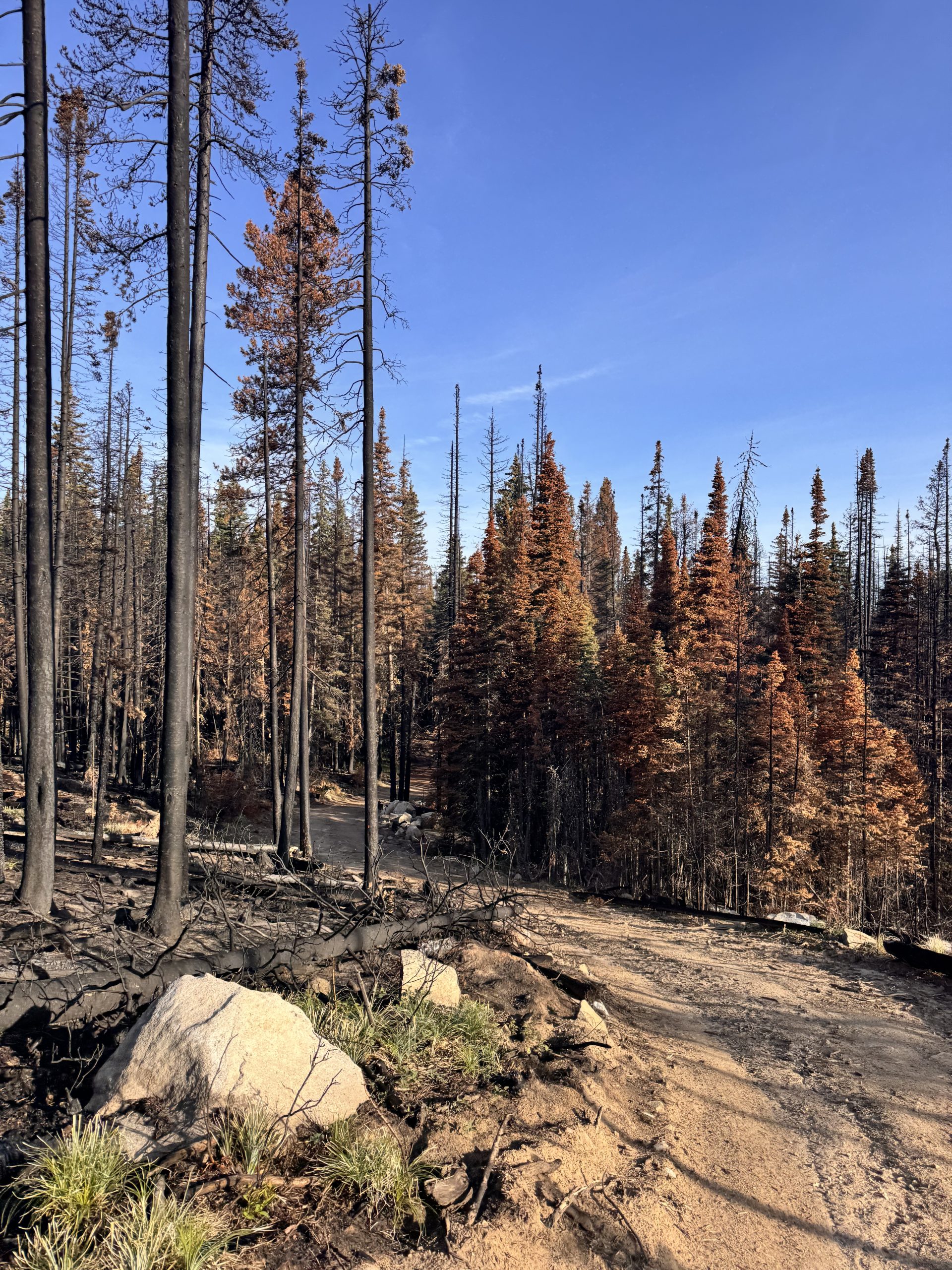 Day By Day: Anaconda to Flesher Pass - The Trek