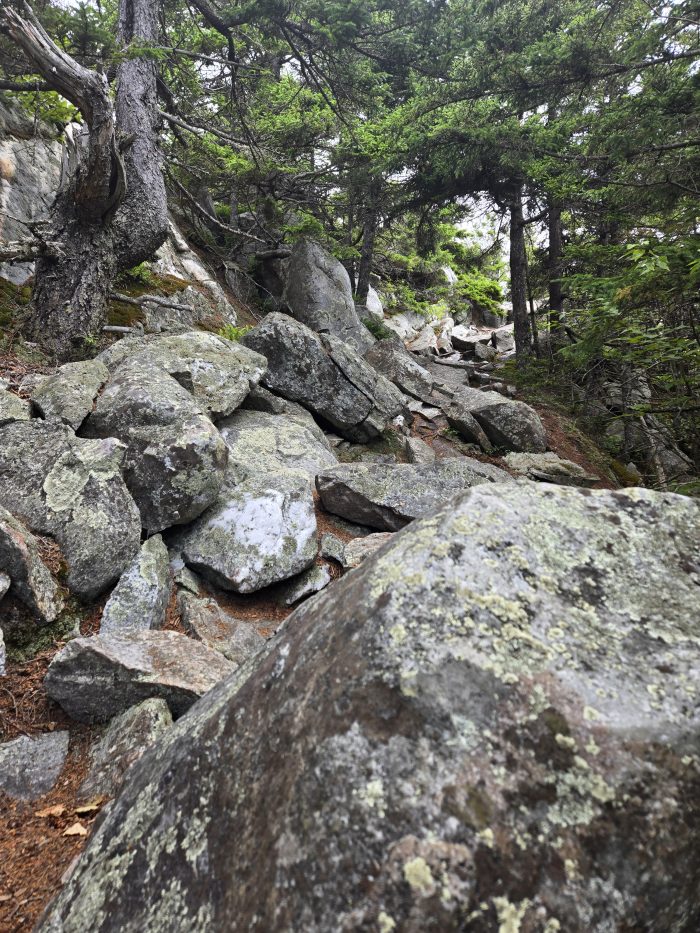 Piedras grises grises que forman un rastro de sendero cuesta arriba.