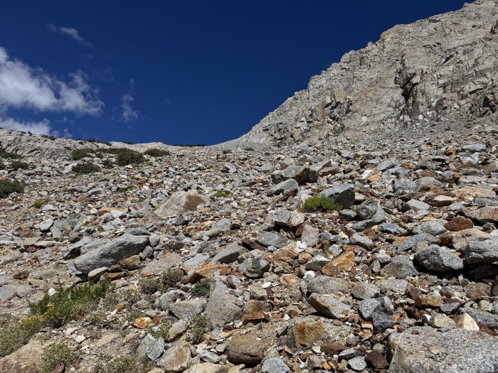 JMT de 9 – Quiso de pastel