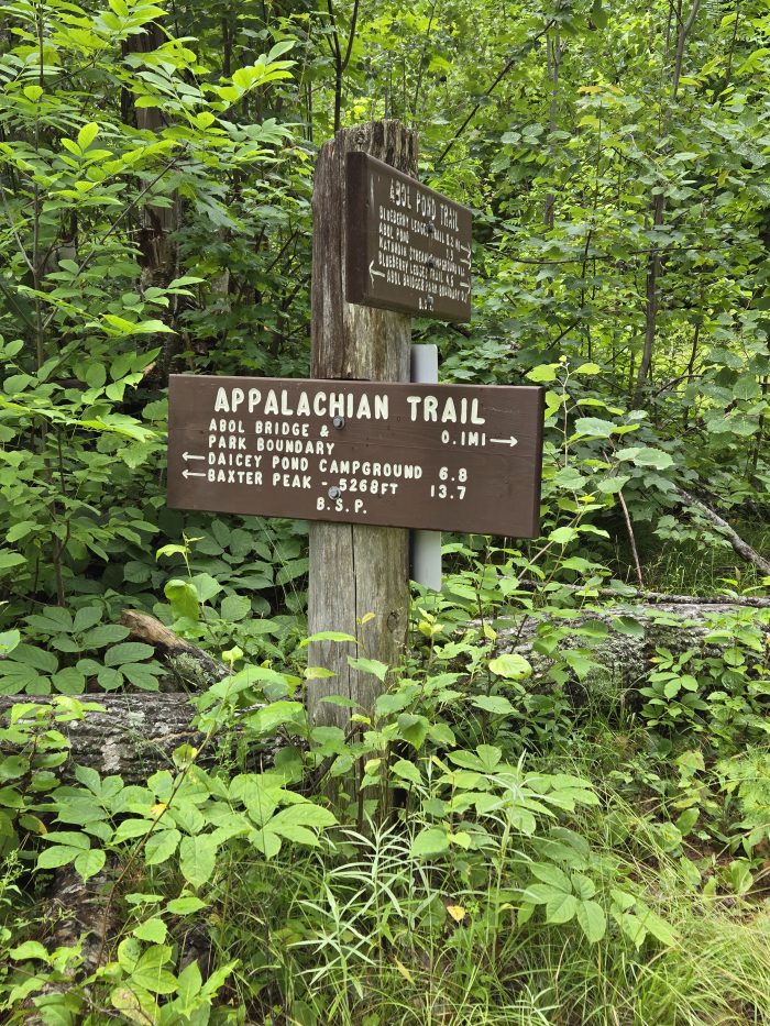 Sign a publication on the management hikers of the Baxter State Park to Baxter Peak.