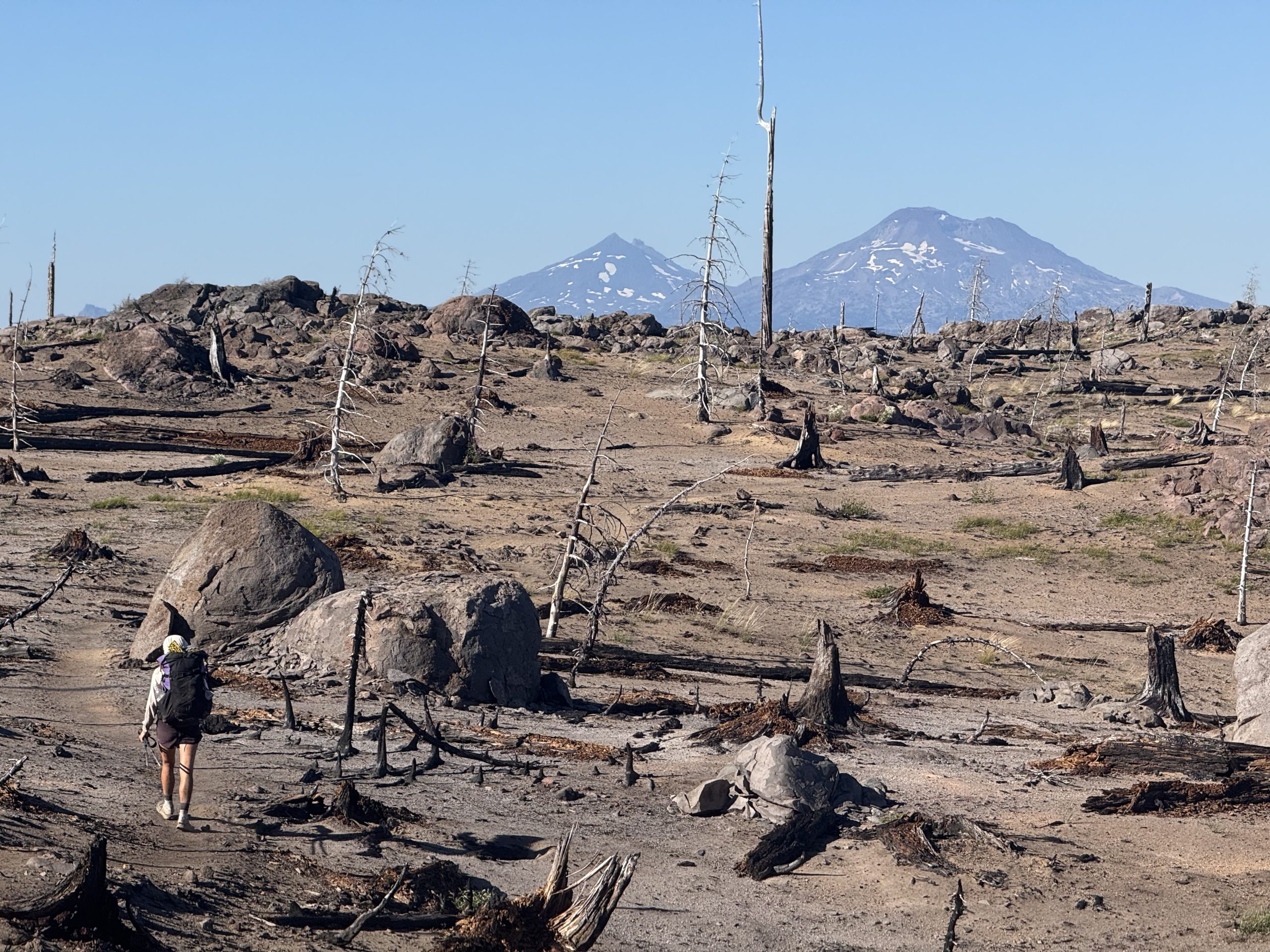 PCT 126 – 130: Great miles in Oregon
