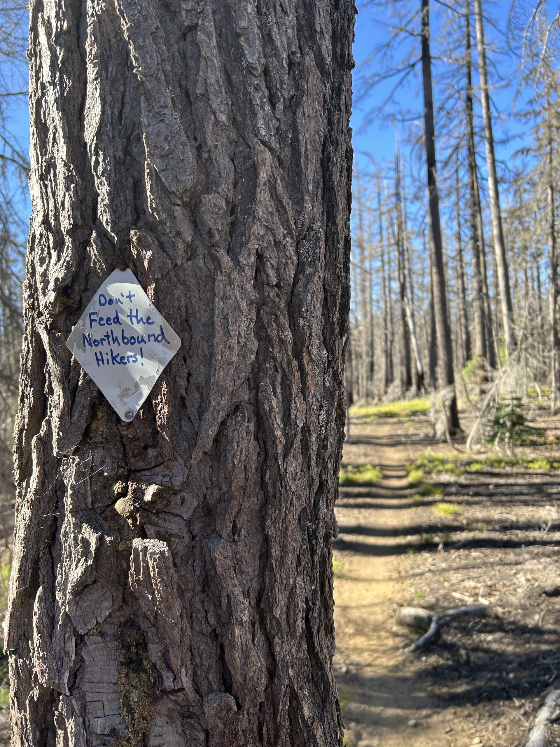 PCT SOBO DAY 42 – A fire closed the road