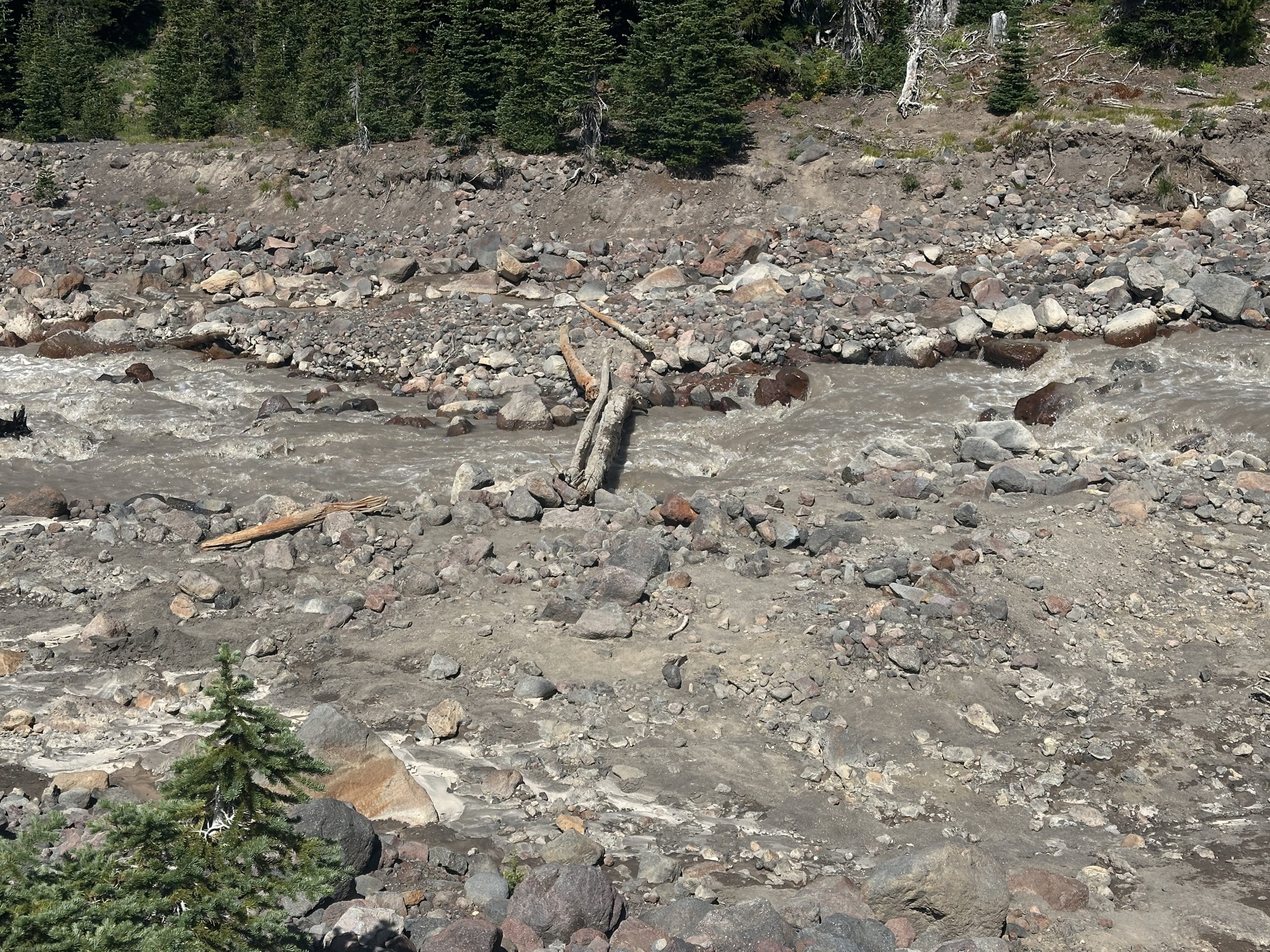 A fun river crossing with two small trunks to travel