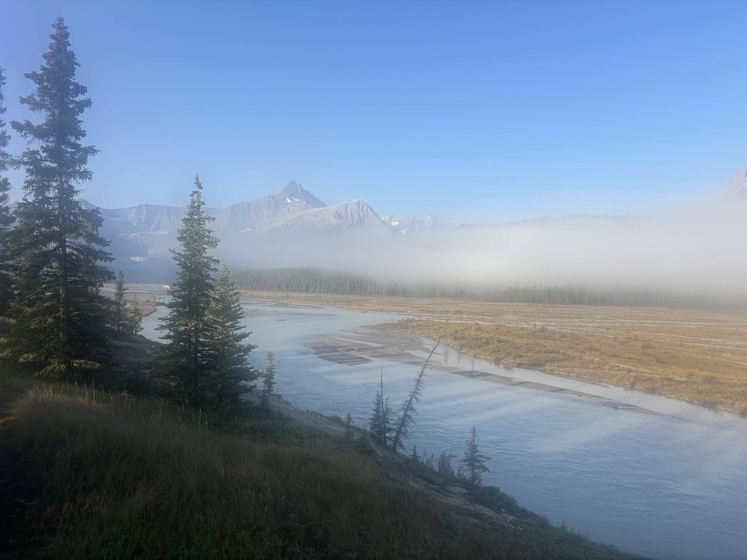 Saskatchewan Crossing field in the GDT