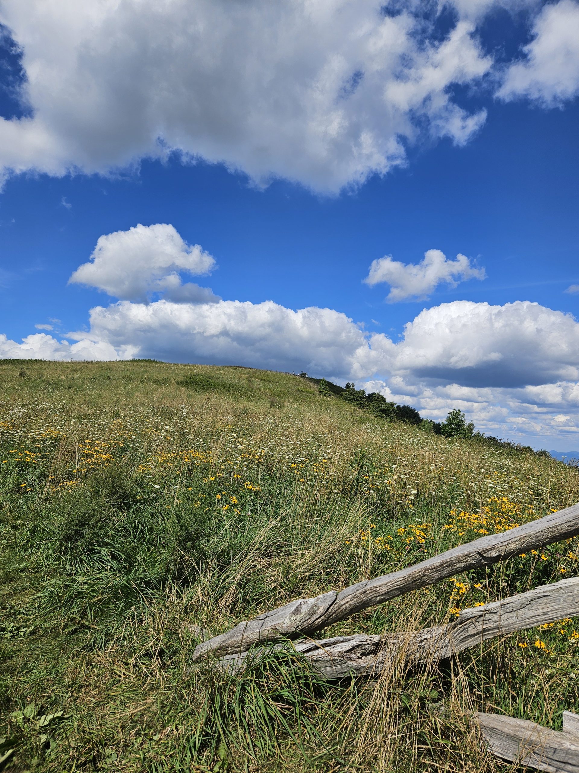 Este es Max Patch, NC en un día espectacular.
