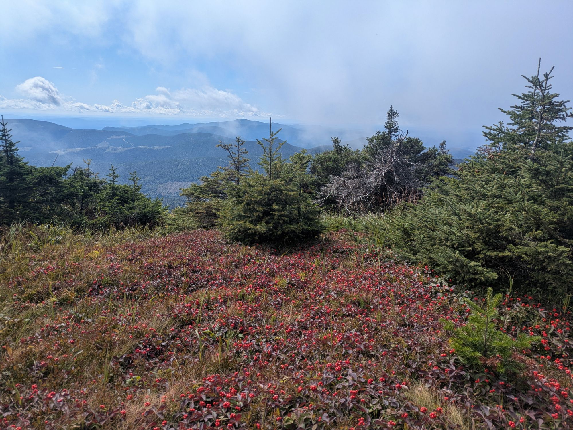 Matane Wildlife Reserve: A Russian Mountain of the Cloudy Summit (day 231)