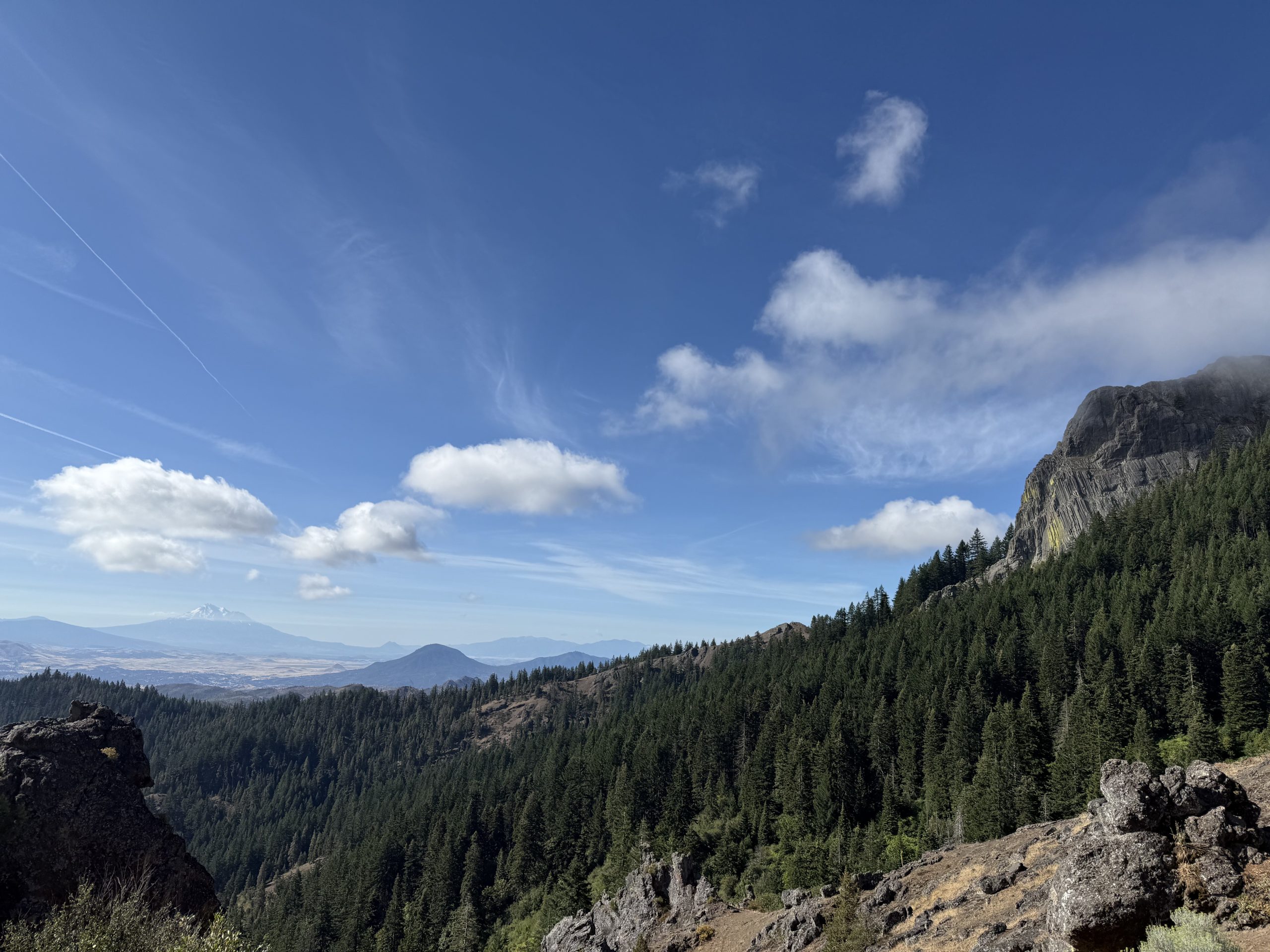 PCT Day 96-106 — The Great Green Walkalator - The Trek