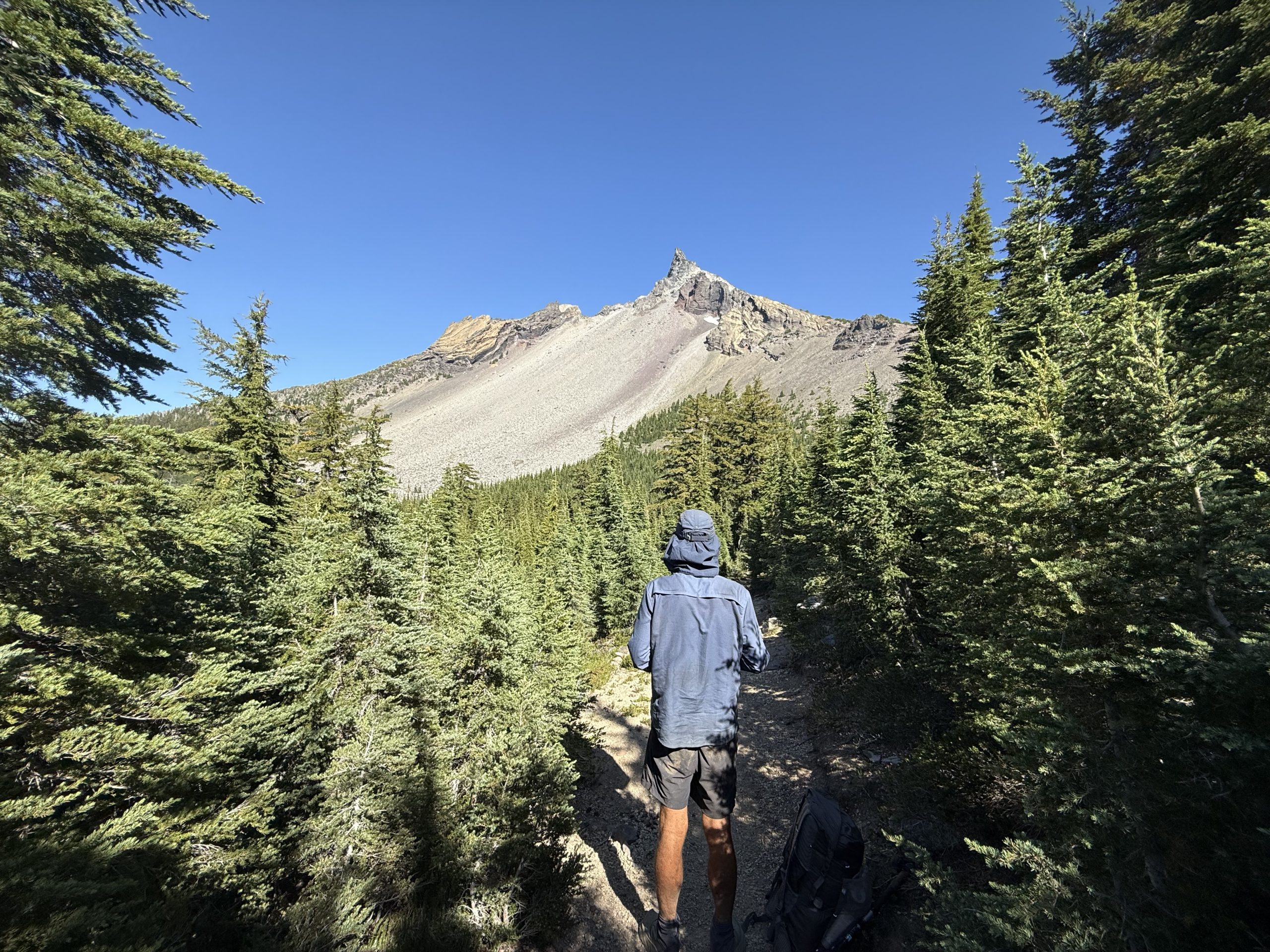 PCT Day 96-106 — The Great Green Walkalator - The Trek