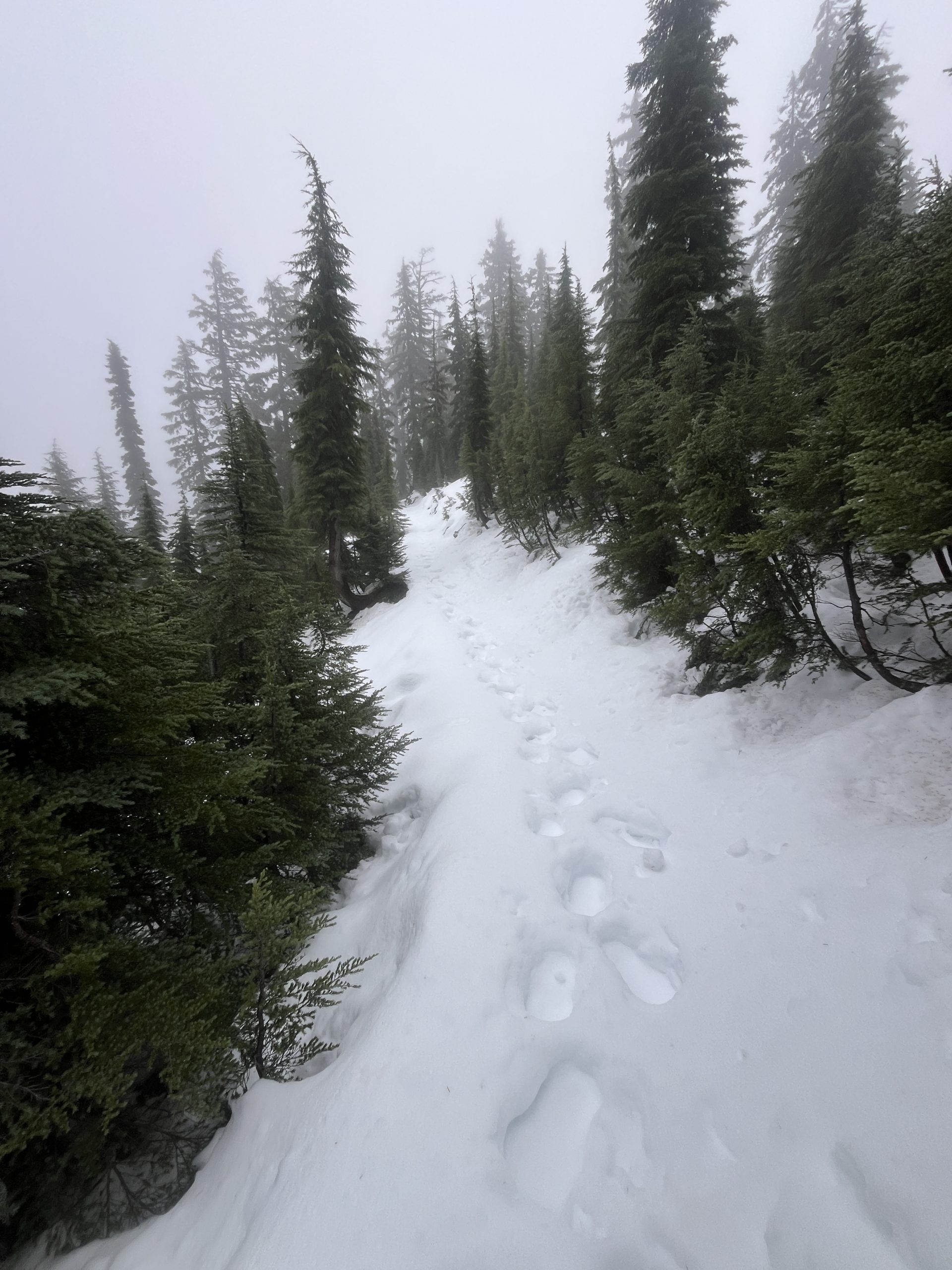 Deep Snowfall Deep Snow & Steep Fall Out in Oregon - The Trek