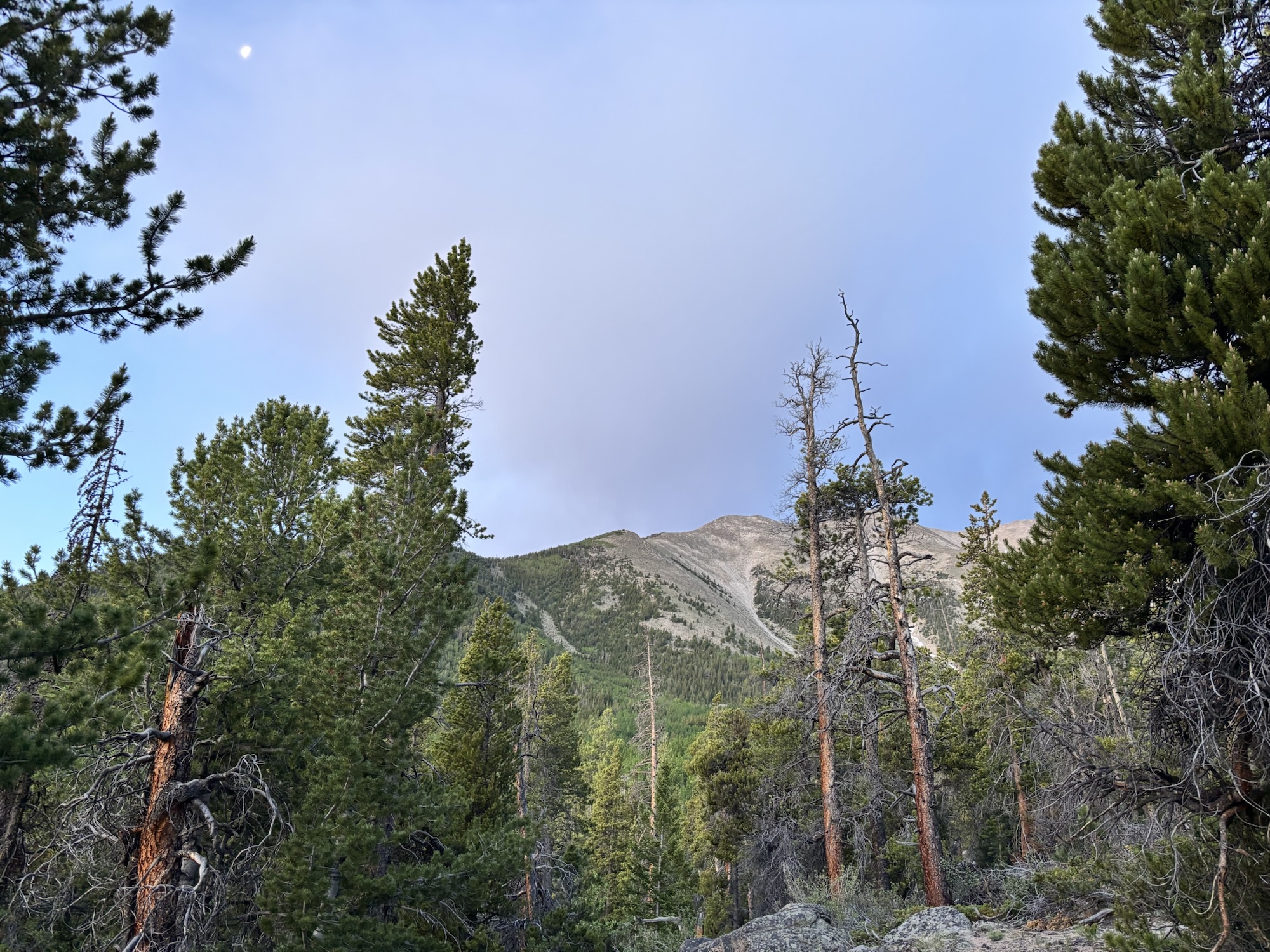 The CDT Part 4: Confidence and Rhythm in Colorado - The Trek