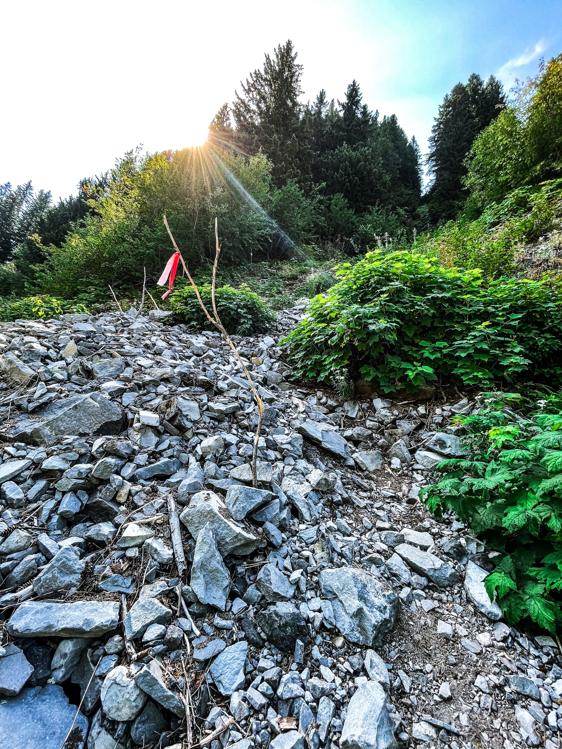 The Wonderful Wonderland Trail Day 8: To Nickel Creek! - The Trek
