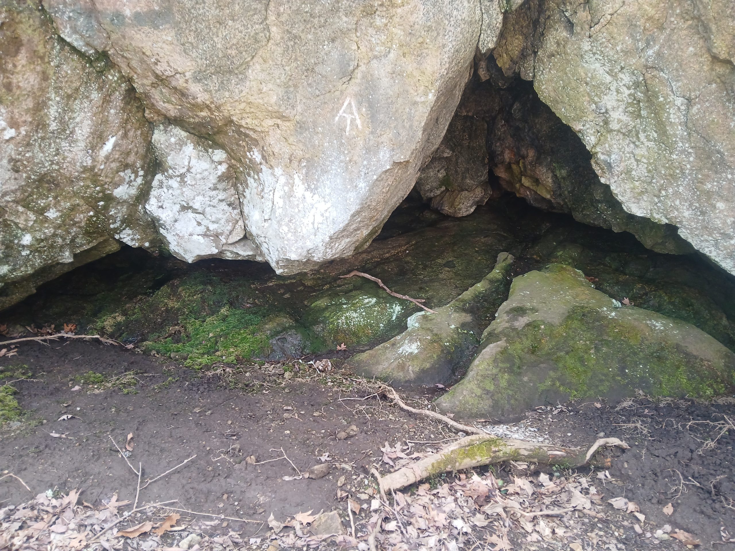 Into Town - Fox's AT Thru Hike - Day 22 - The Trek