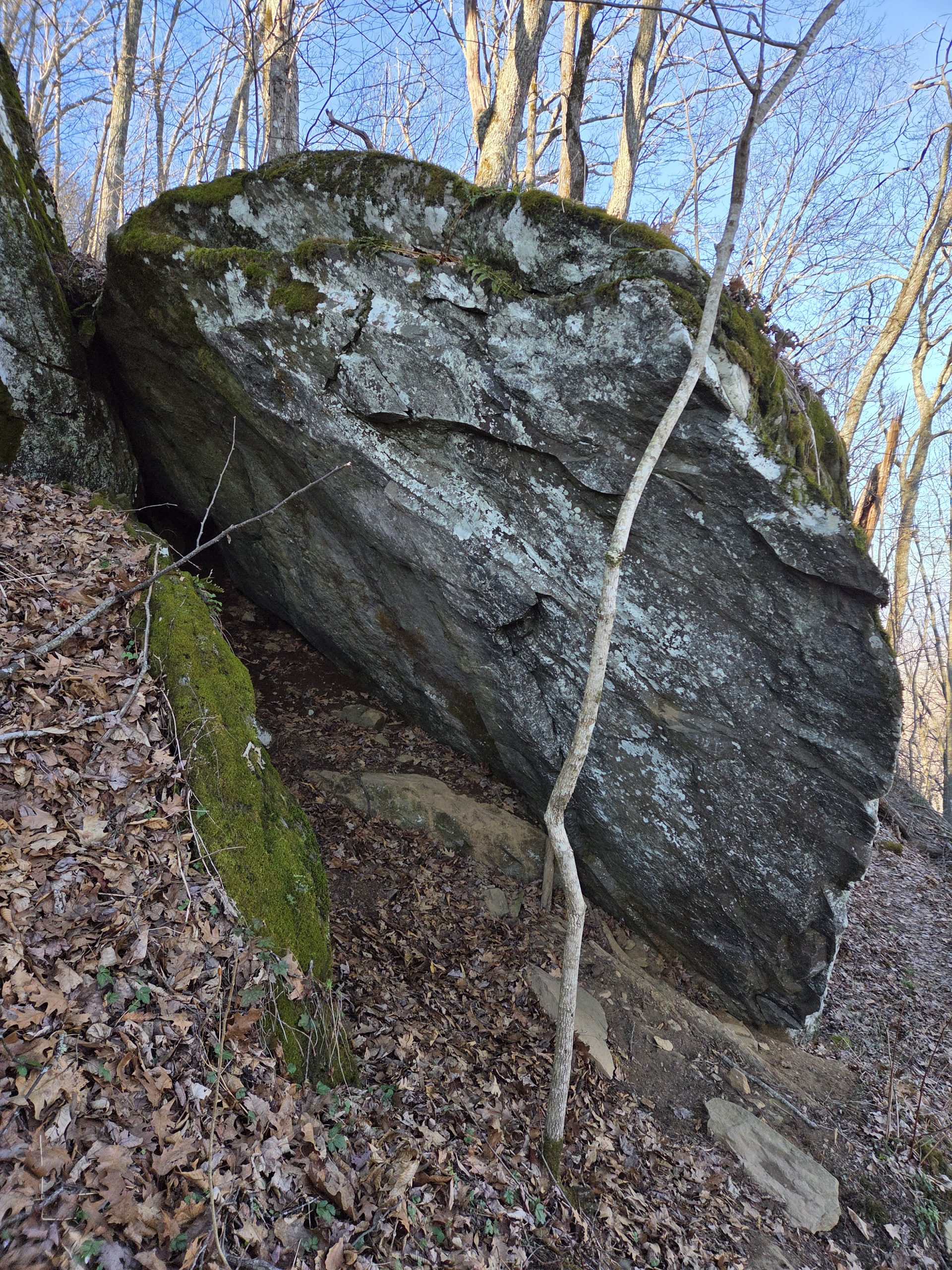 Day 14 - Sketchy Roots - The Trek