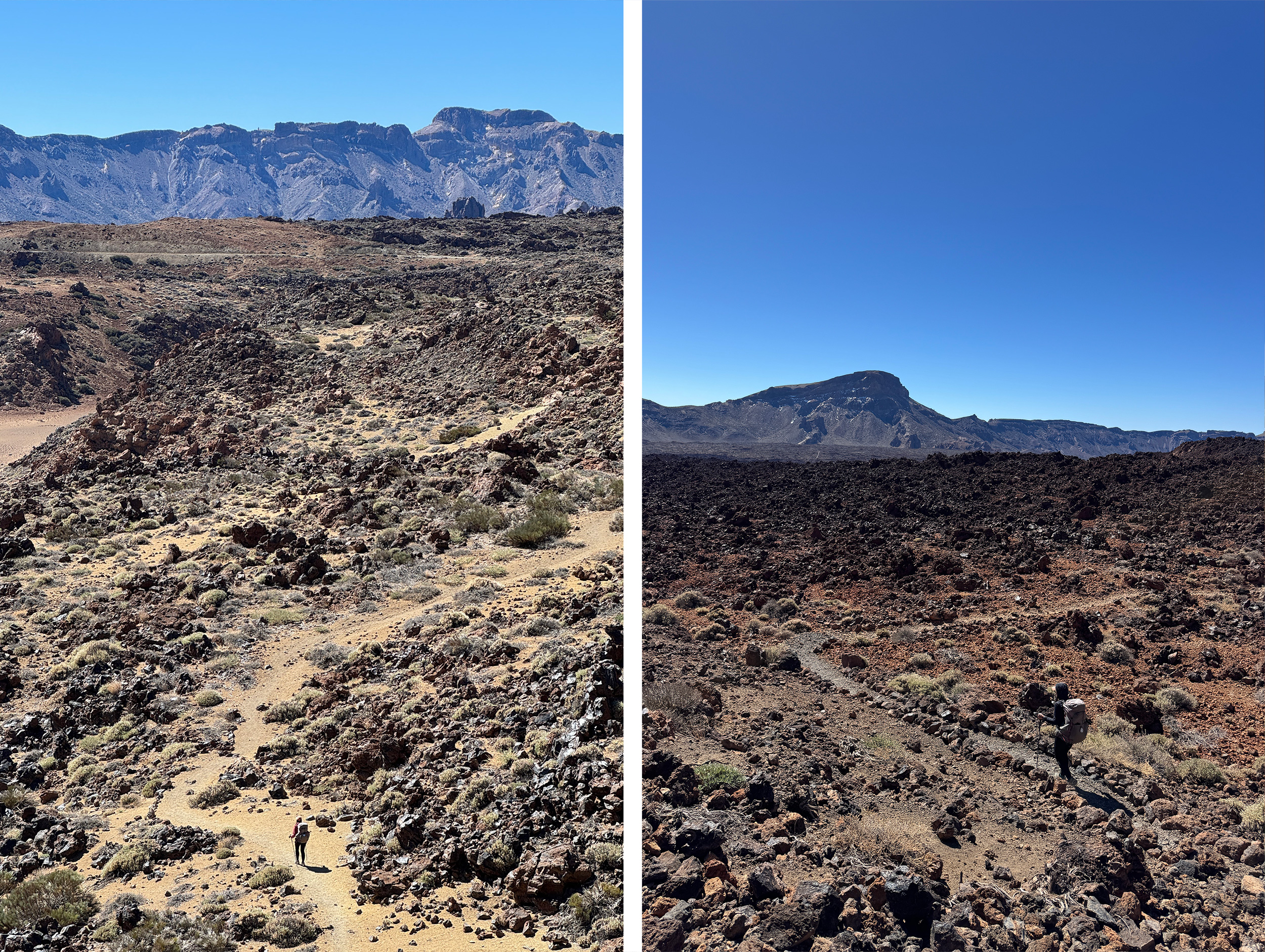 GR 131 Forests Lava And Mount Teide On Tenerife The Trek