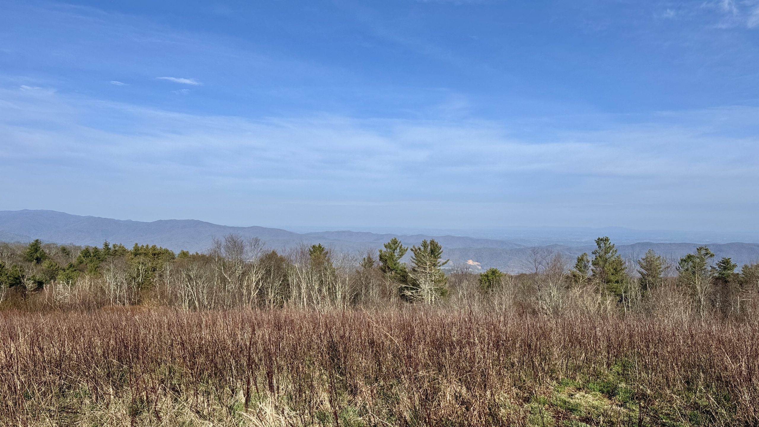 Unaka Blue Ridge Unaka Mountain's Emerald Forest & Beauty Spot - The Trek