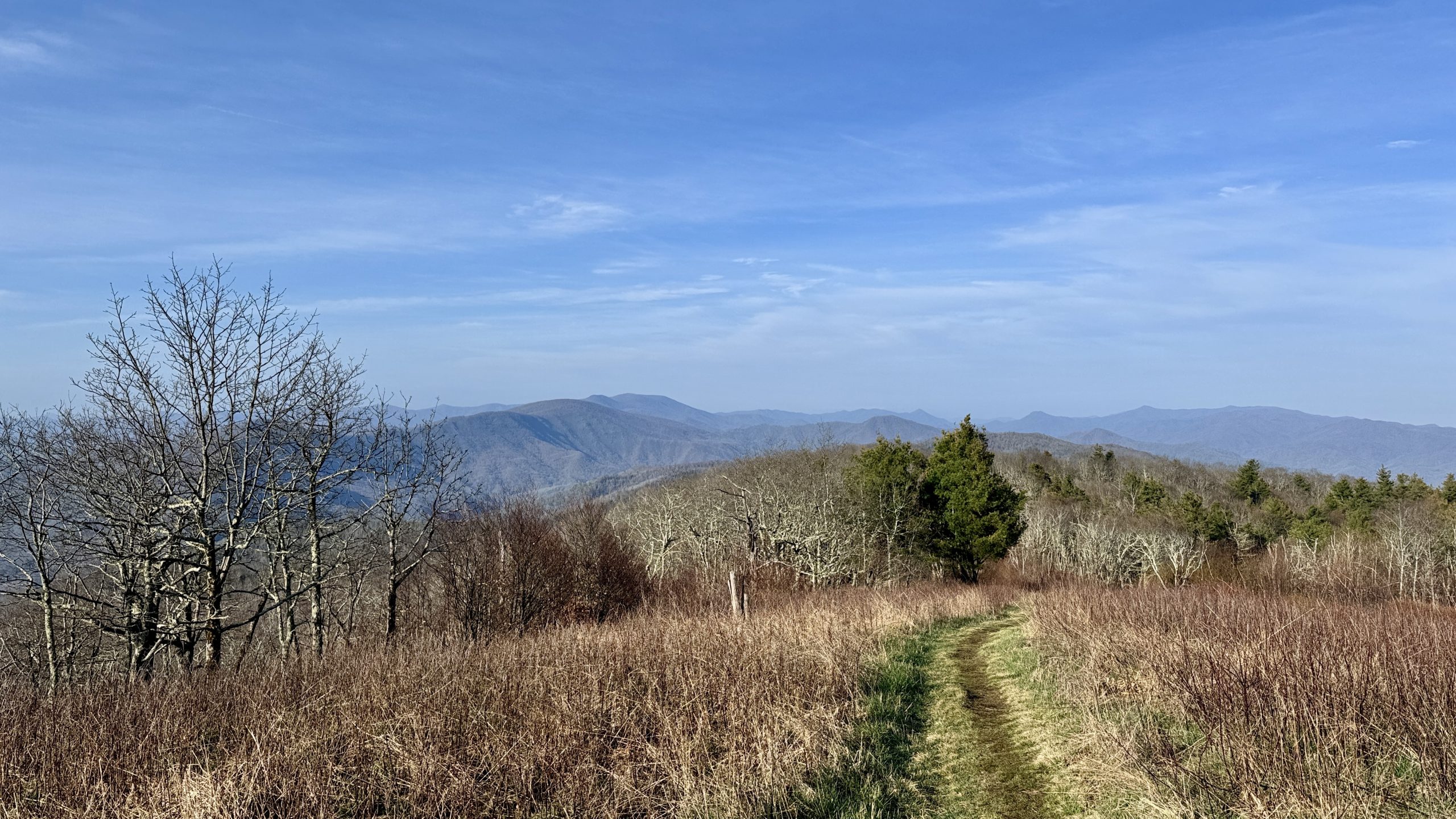 Unaka Blue Ridge Unaka Mountain's Emerald Forest & Beauty Spot - The Trek