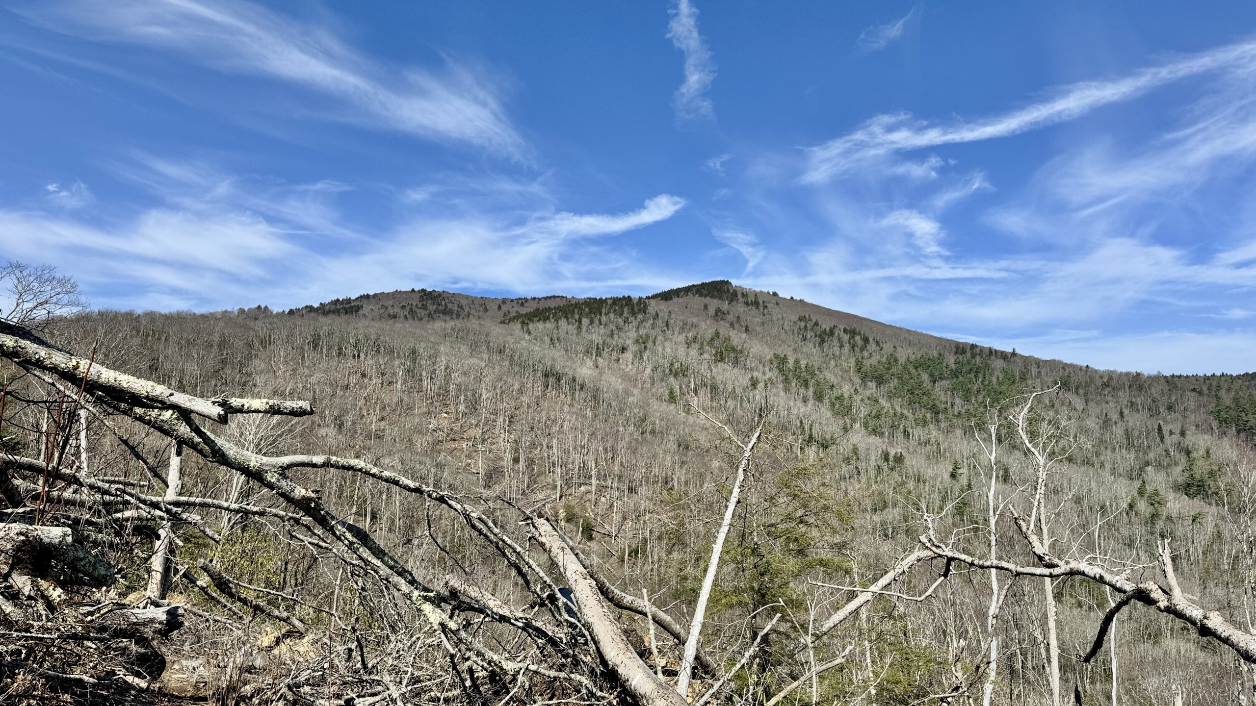 Unaka Blue Ridge Unaka Mountain's Emerald Forest & Beauty Spot - The Trek
