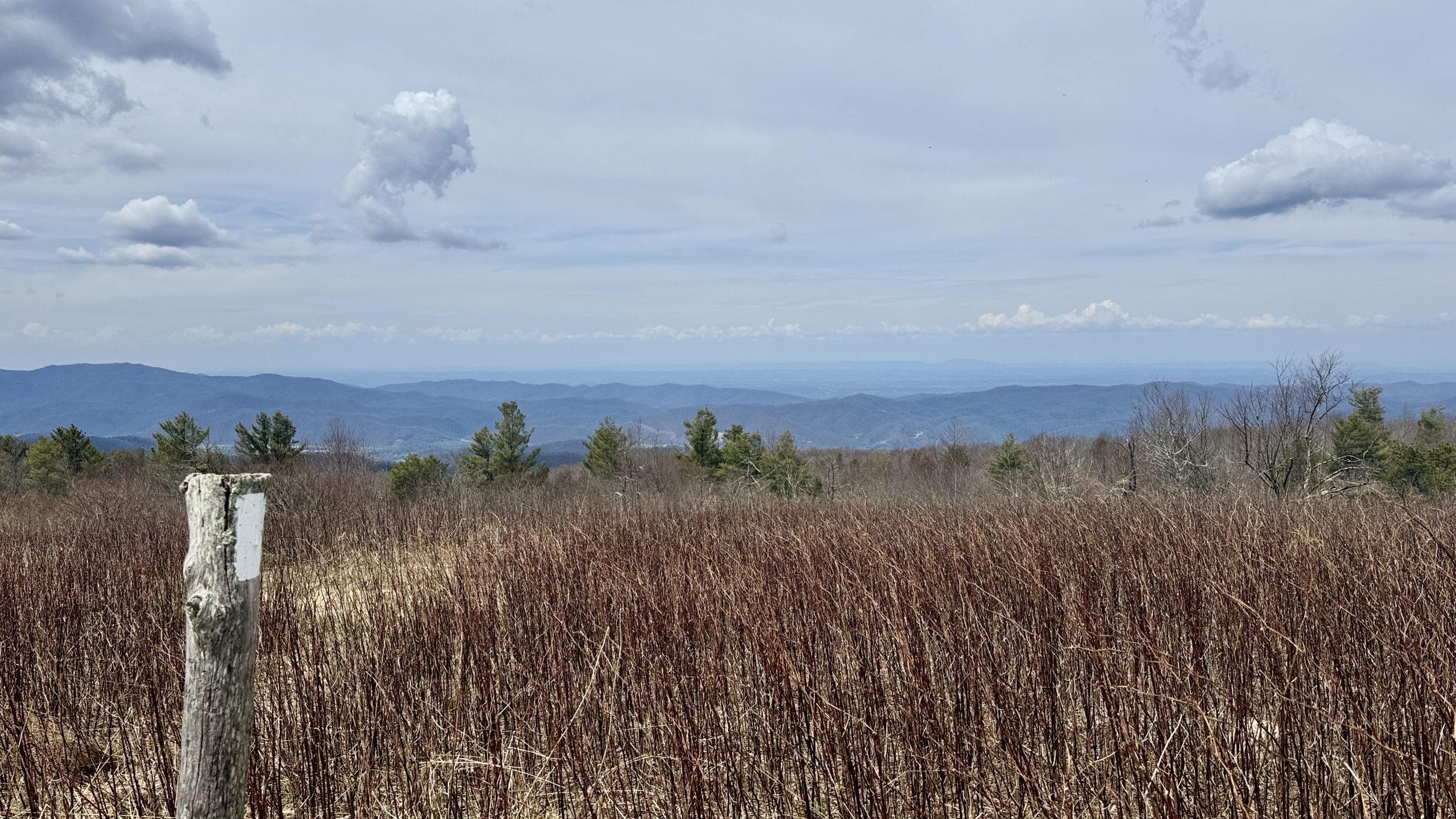 Unaka Blue Ridge Unaka Mountain's Emerald Forest & Beauty Spot - The Trek