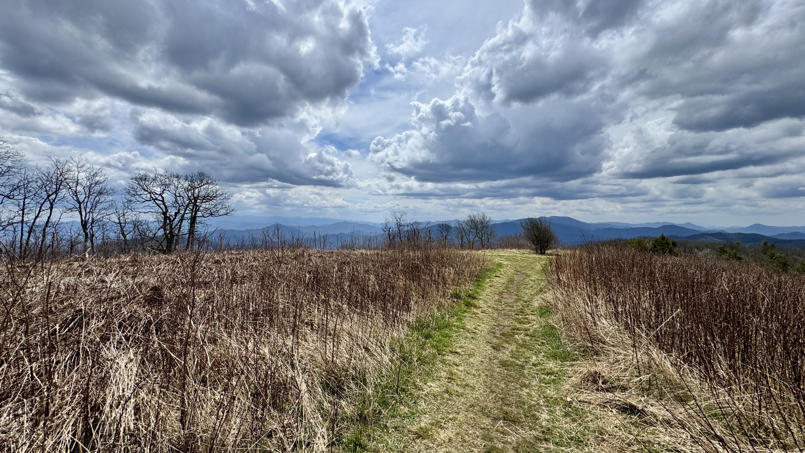 Unaka Blue Ridge Unaka Mountain's Emerald Forest & Beauty Spot - The Trek