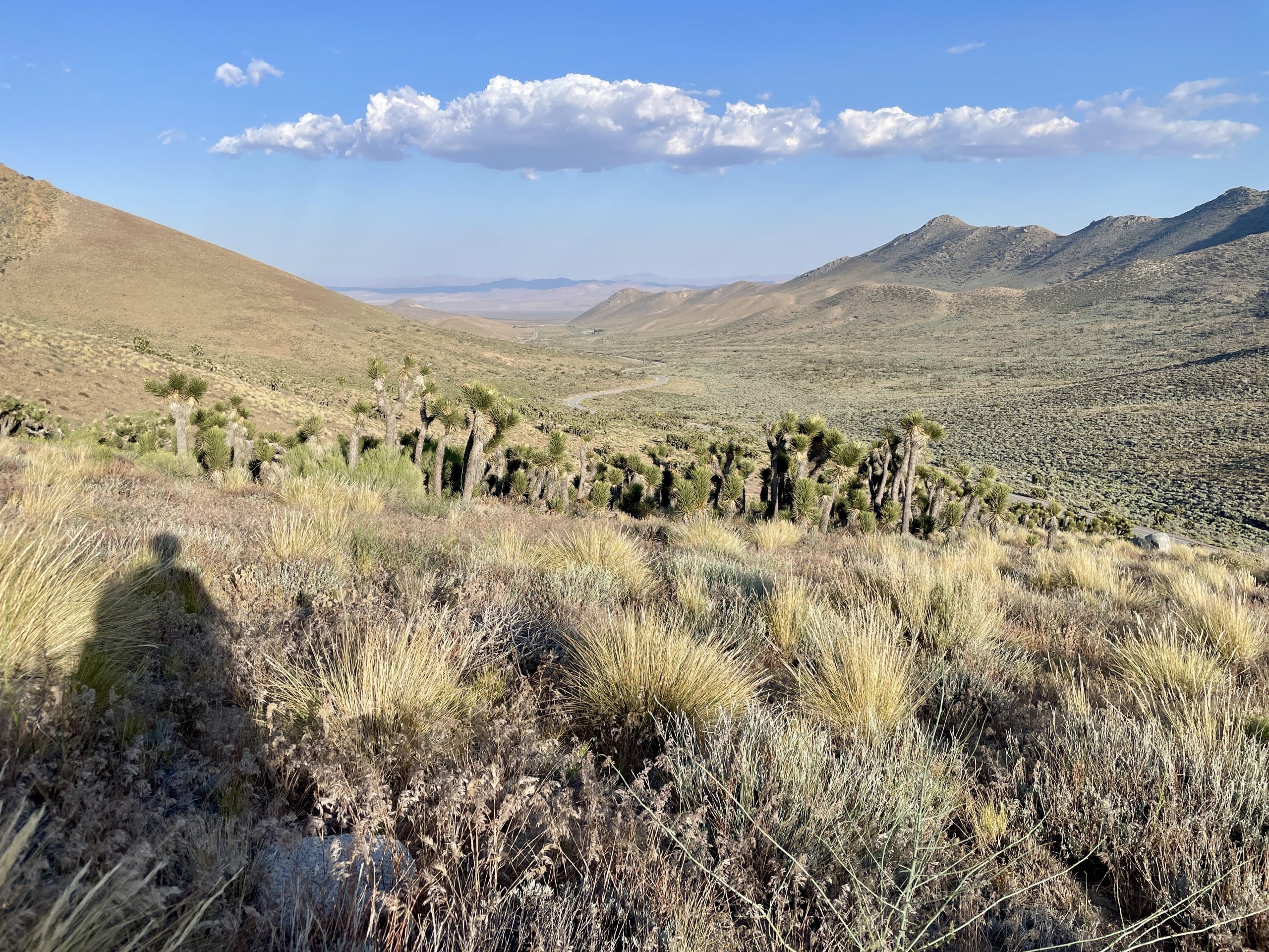 PCT Days 41 to 46: Desert Denouement - The Trek