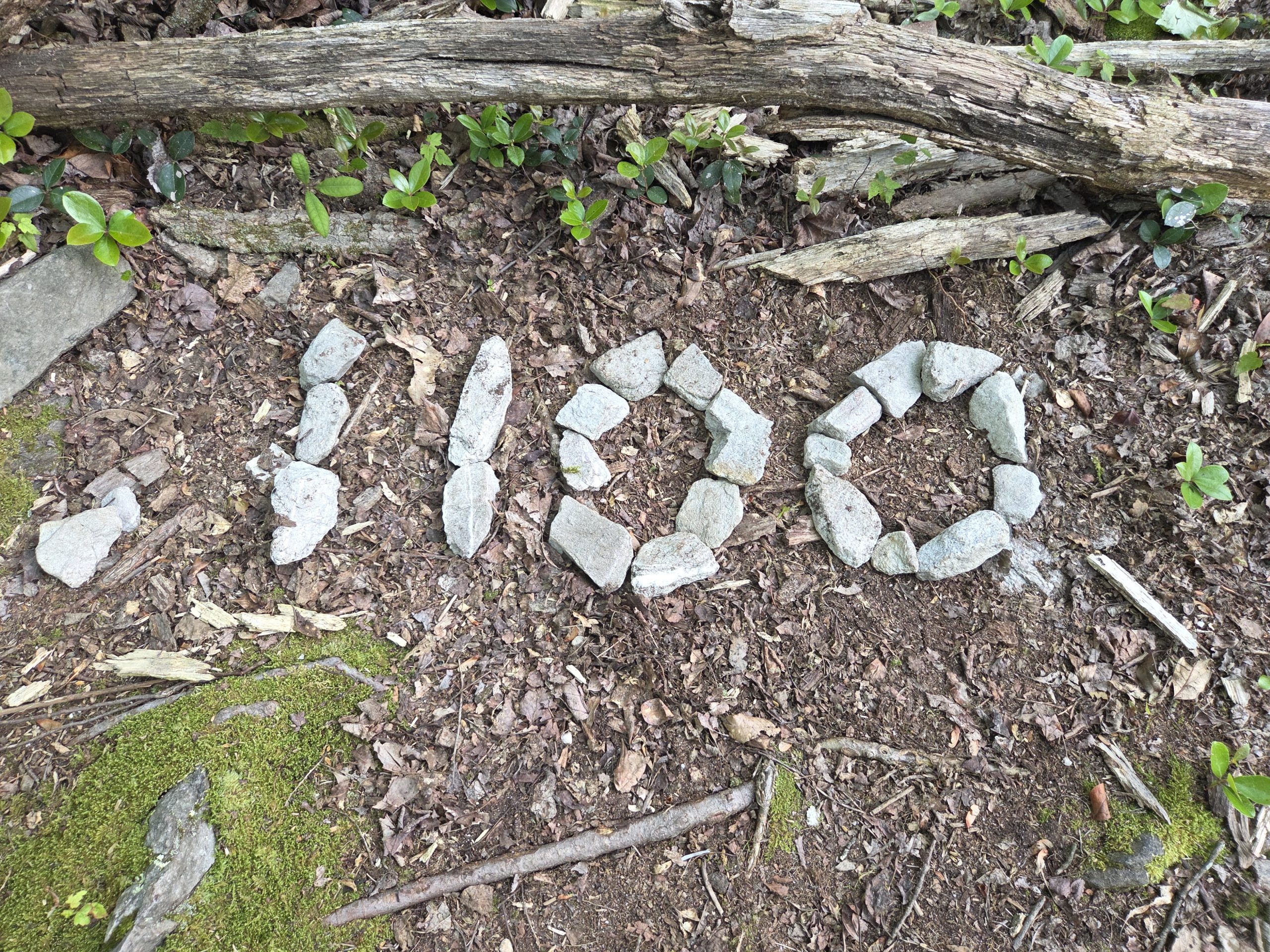 Day 81 – Halfway – The walk Day 81 – Halfway – The walk
